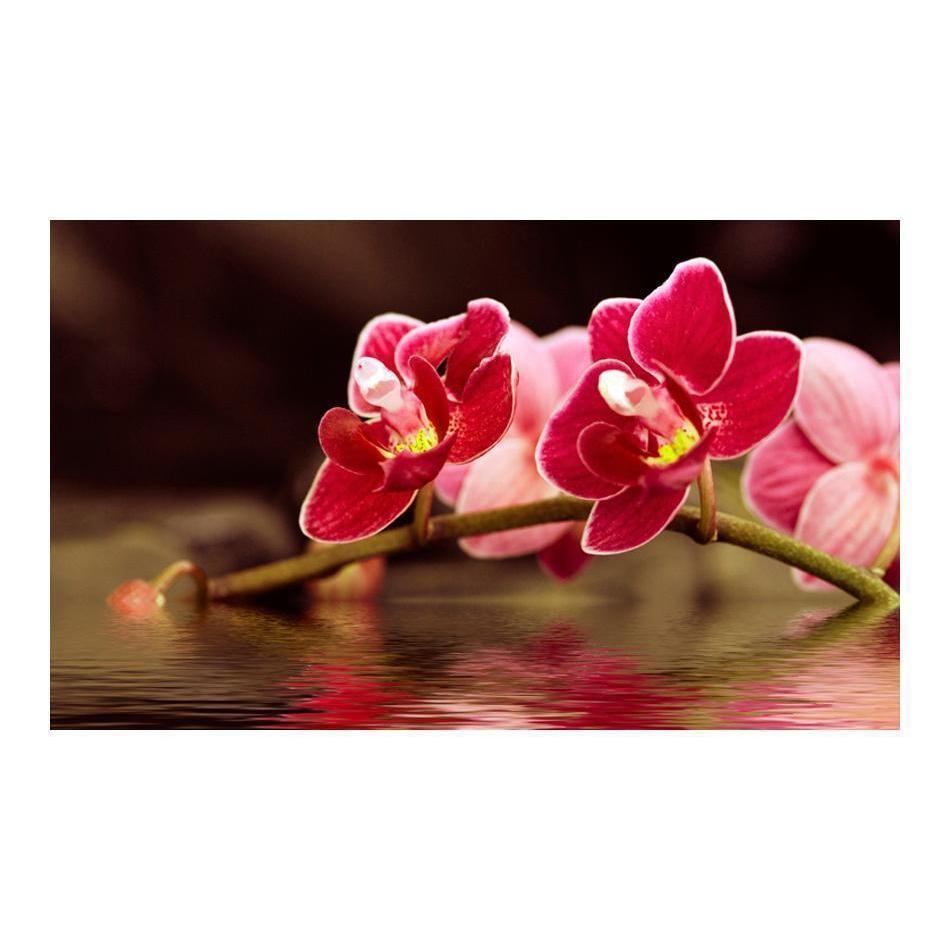 Fototapet - Vacker orkidé blommor på vattnet-Fototapet-Artgeist-peaceofhome.se