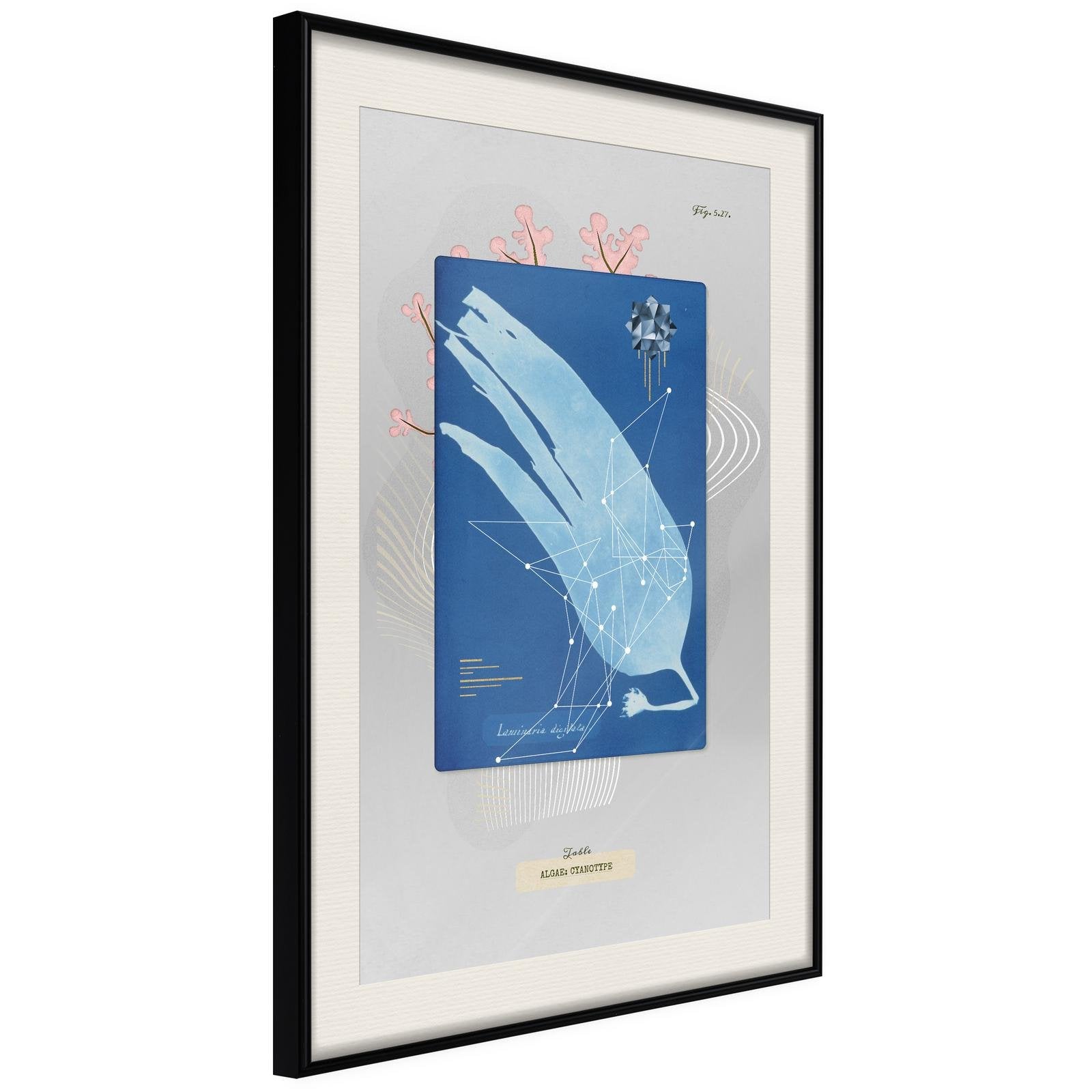 Inramad Poster / Tavla - Alga Cyanotype-Poster Inramad-Artgeist-20x30-Svart ram med passepartout-peaceofhome.se