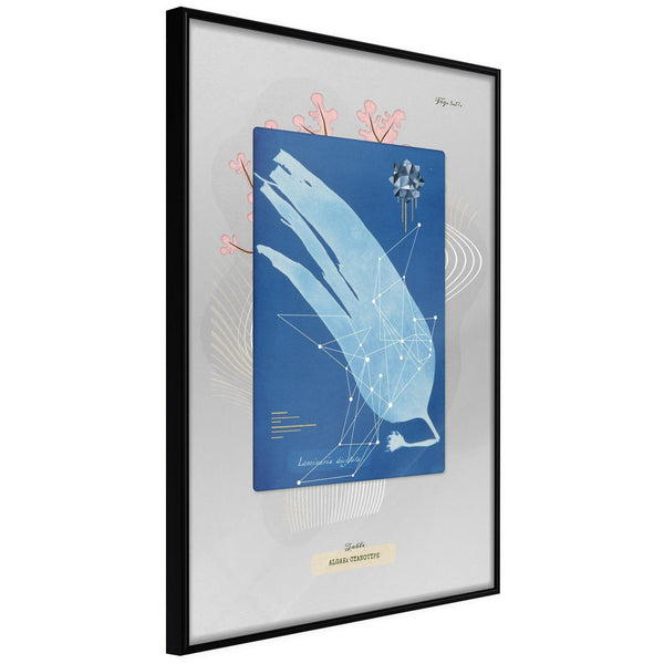 Inramad Poster / Tavla - Alga Cyanotype-Poster Inramad-Artgeist-20x30-Svart ram-peaceofhome.se