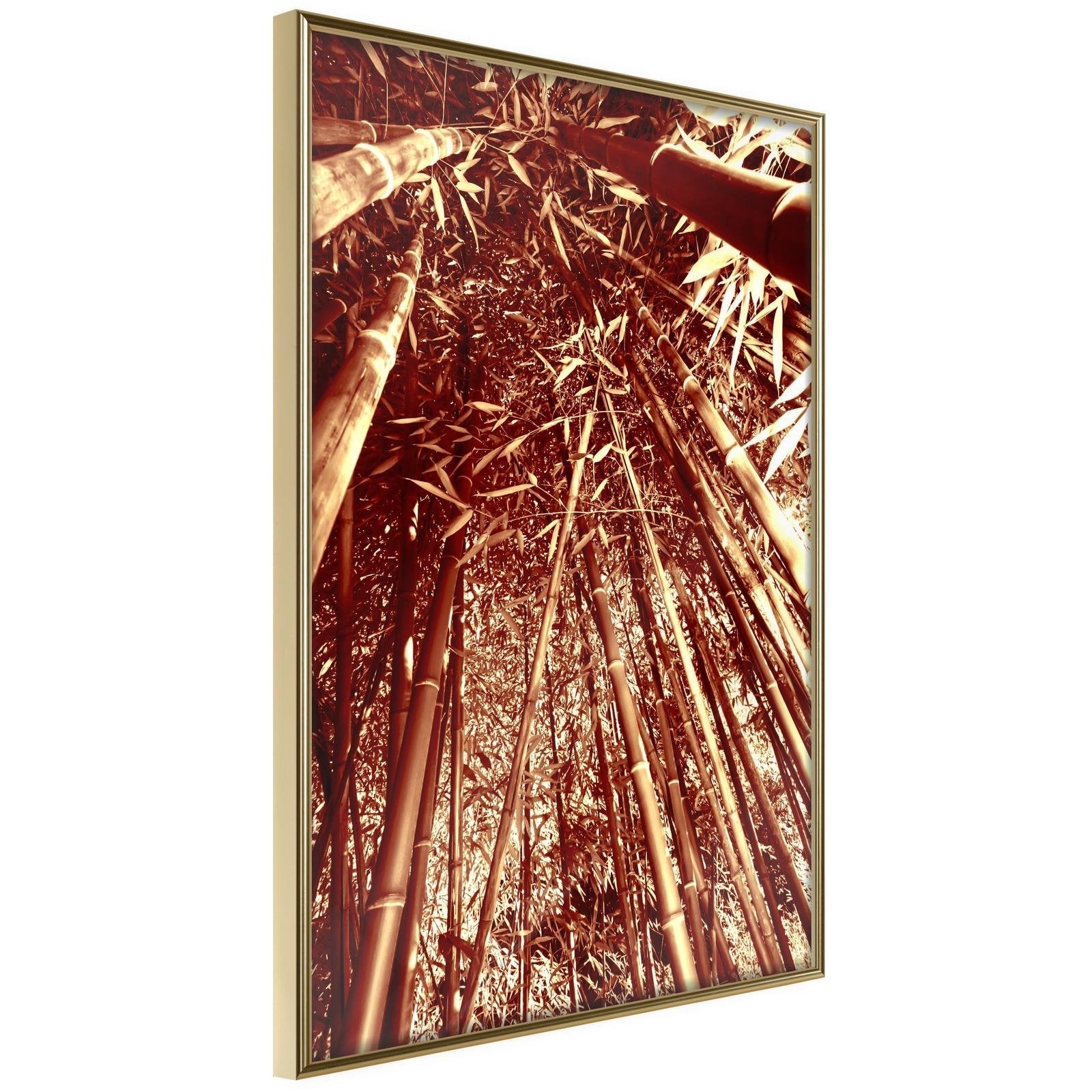 Inramad Poster / Tavla - Asian Forest-Poster Inramad-Artgeist-20x30-Guldram-peaceofhome.se