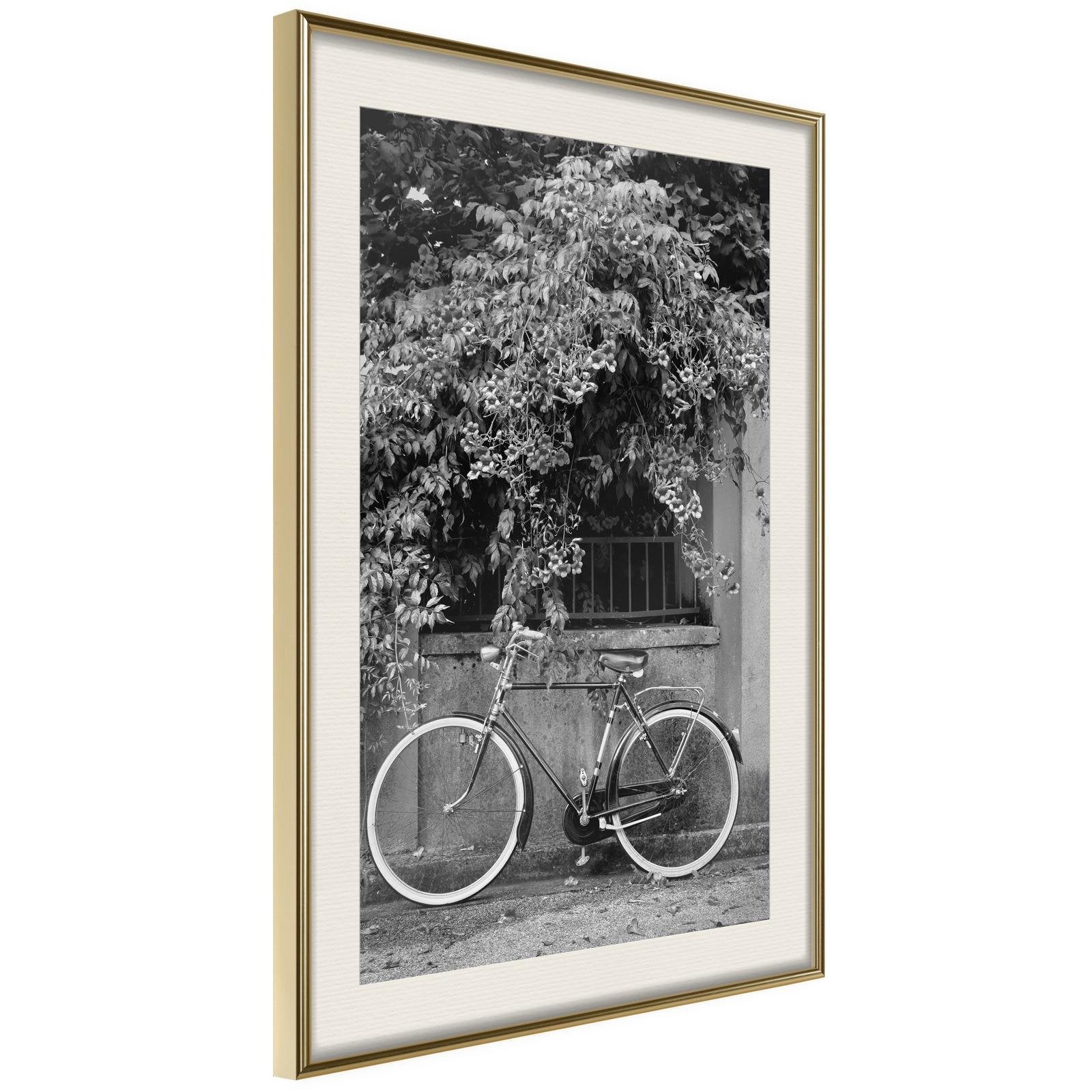 Inramad Poster / Tavla - Bicycle with White Tires-Poster Inramad-Artgeist-20x30-Guldram med passepartout-peaceofhome.se
