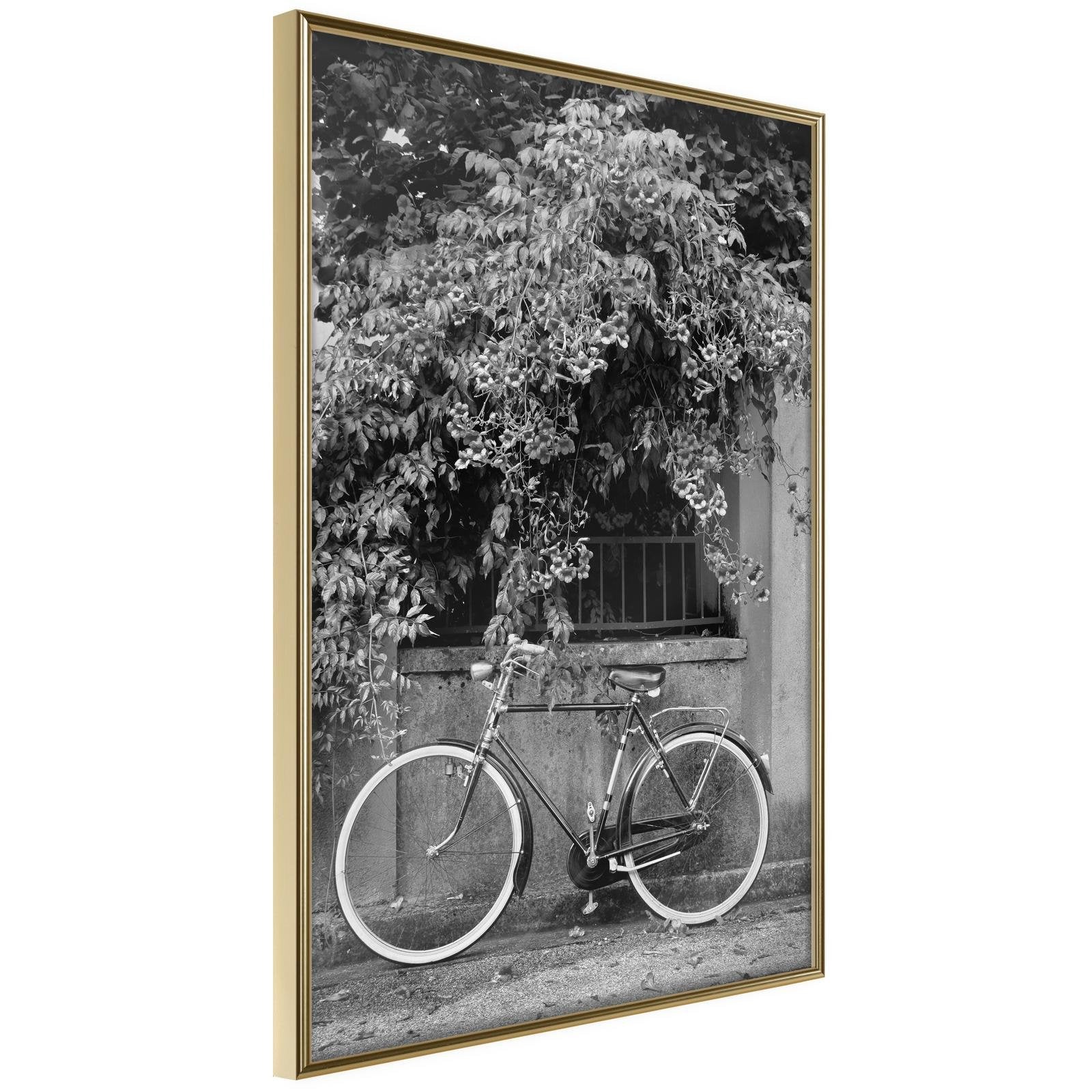 Inramad Poster / Tavla - Bicycle with White Tires-Poster Inramad-Artgeist-20x30-Guldram-peaceofhome.se