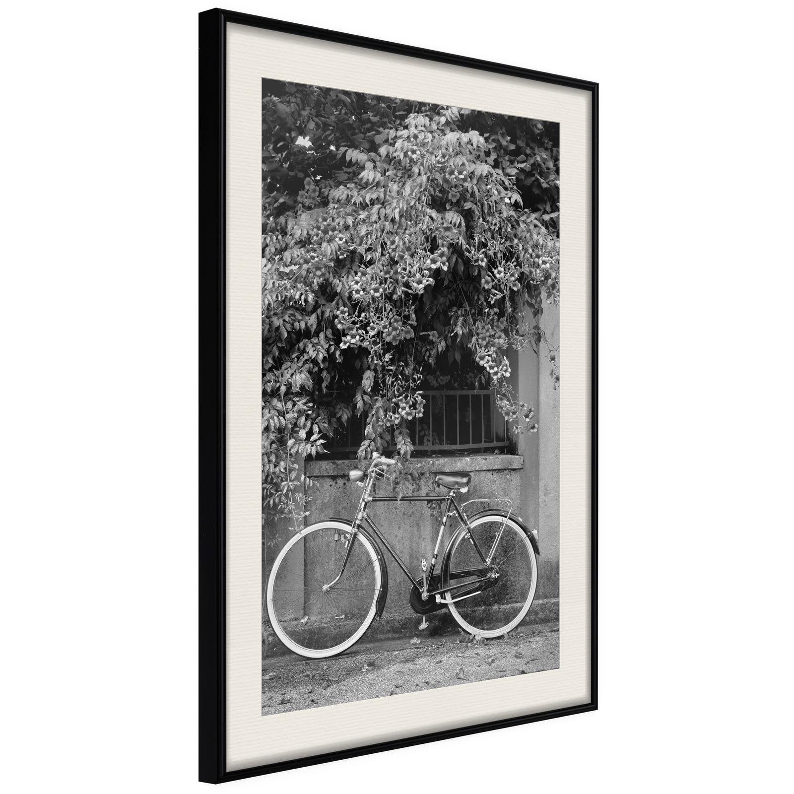 Inramad Poster / Tavla - Bicycle with White Tires-Poster Inramad-Artgeist-20x30-Svart ram med passepartout-peaceofhome.se