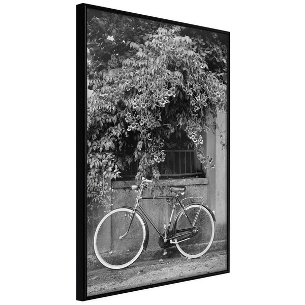 Inramad Poster / Tavla - Bicycle with White Tires-Poster Inramad-Artgeist-20x30-Svart ram-peaceofhome.se