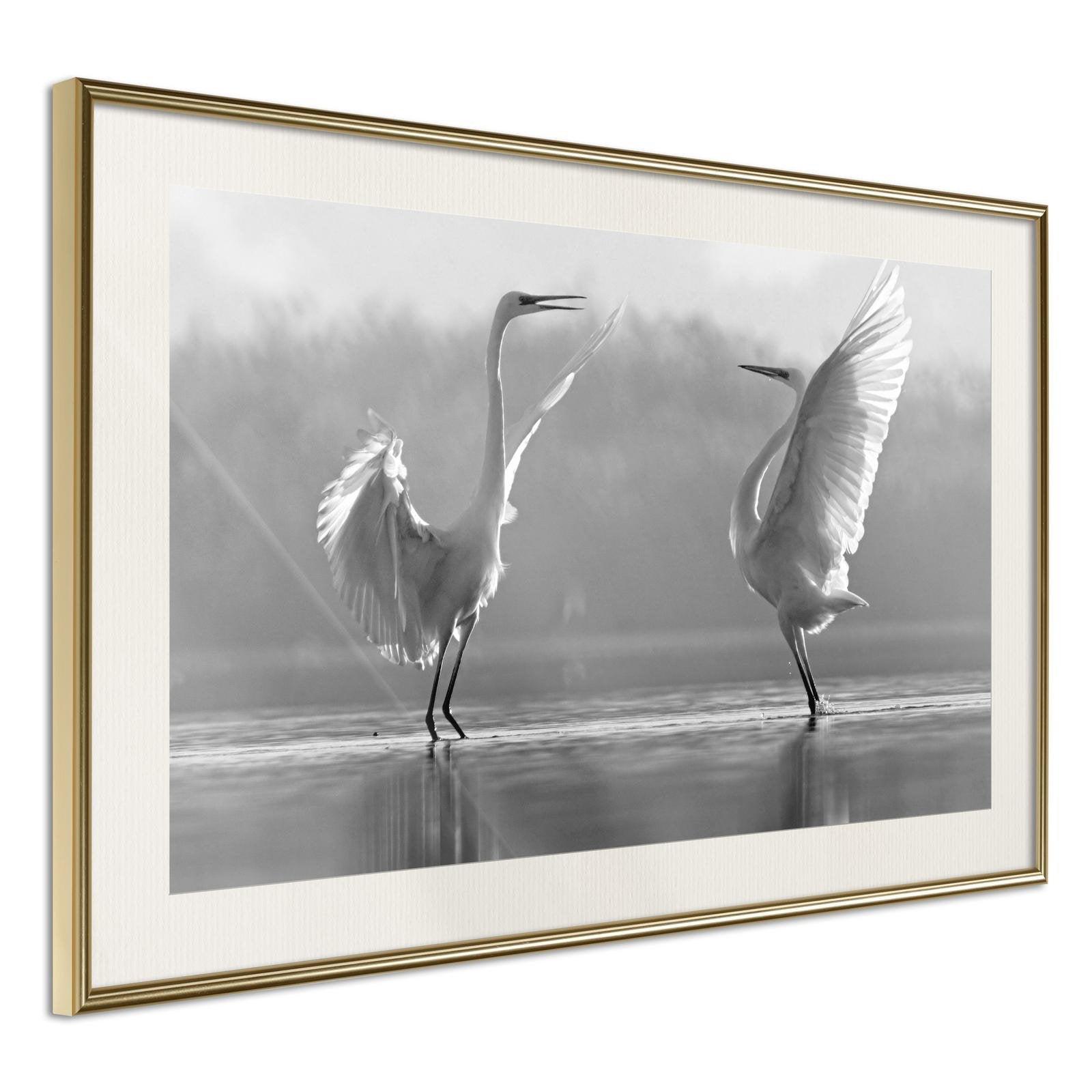 Inramad Poster / Tavla - Black and White Herons-Poster Inramad-Artgeist-30x20-Guldram med passepartout-peaceofhome.se