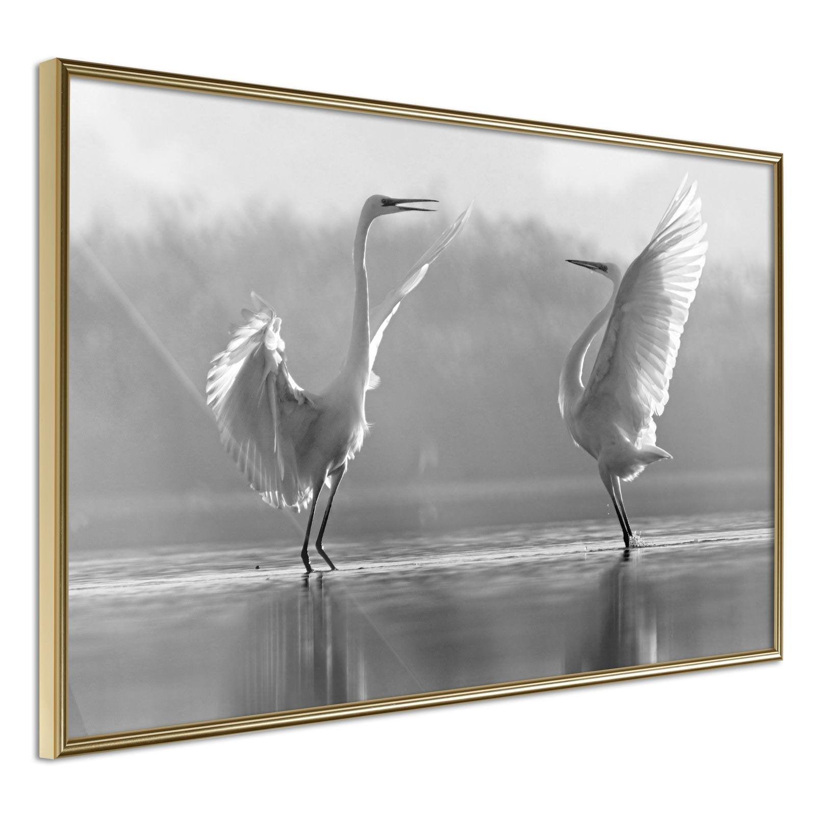 Inramad Poster / Tavla - Black and White Herons-Poster Inramad-Artgeist-30x20-Guldram-peaceofhome.se