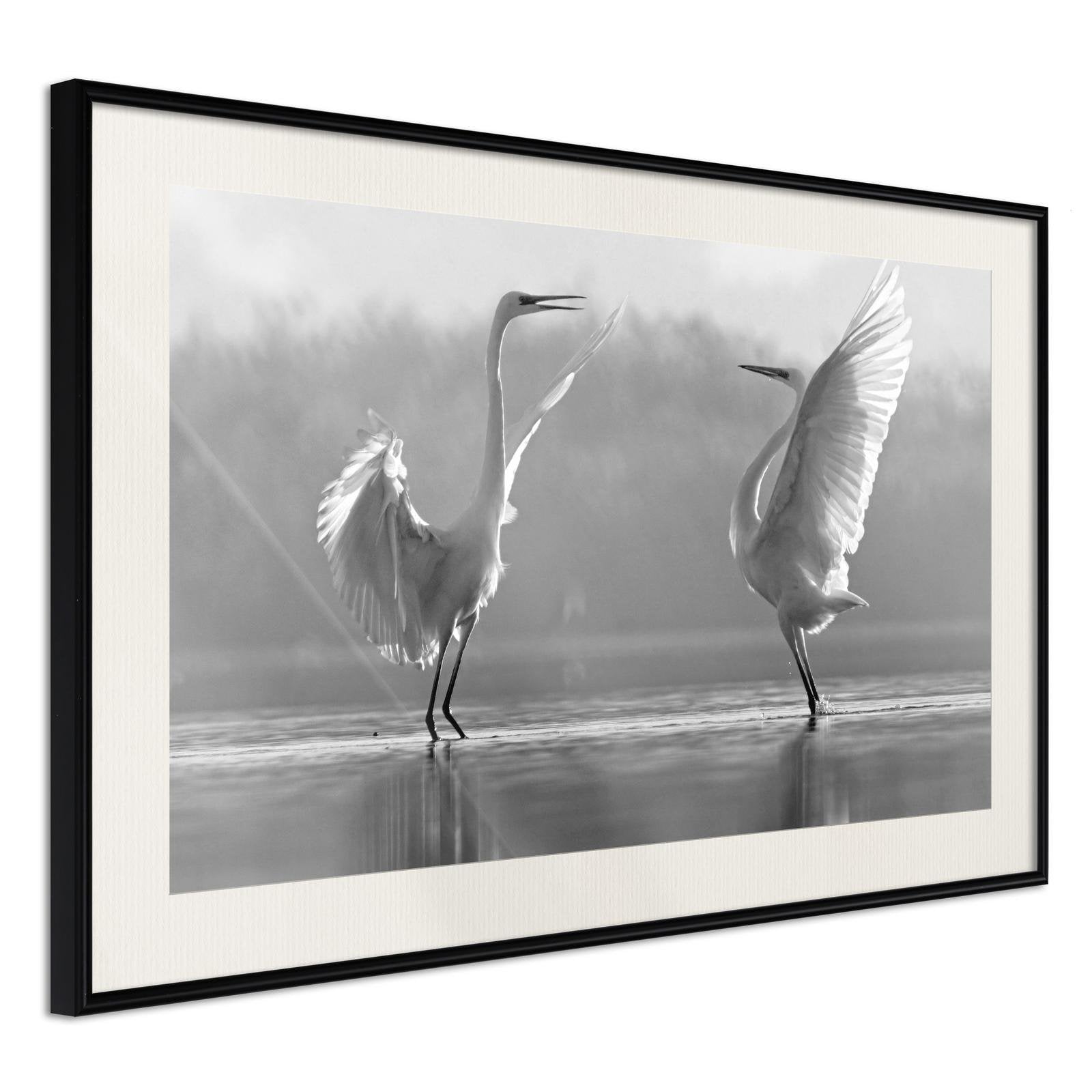 Inramad Poster / Tavla - Black and White Herons-Poster Inramad-Artgeist-30x20-Svart ram med passepartout-peaceofhome.se