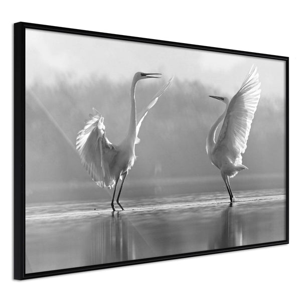 Inramad Poster / Tavla - Black and White Herons-Poster Inramad-Artgeist-30x20-Svart ram-peaceofhome.se