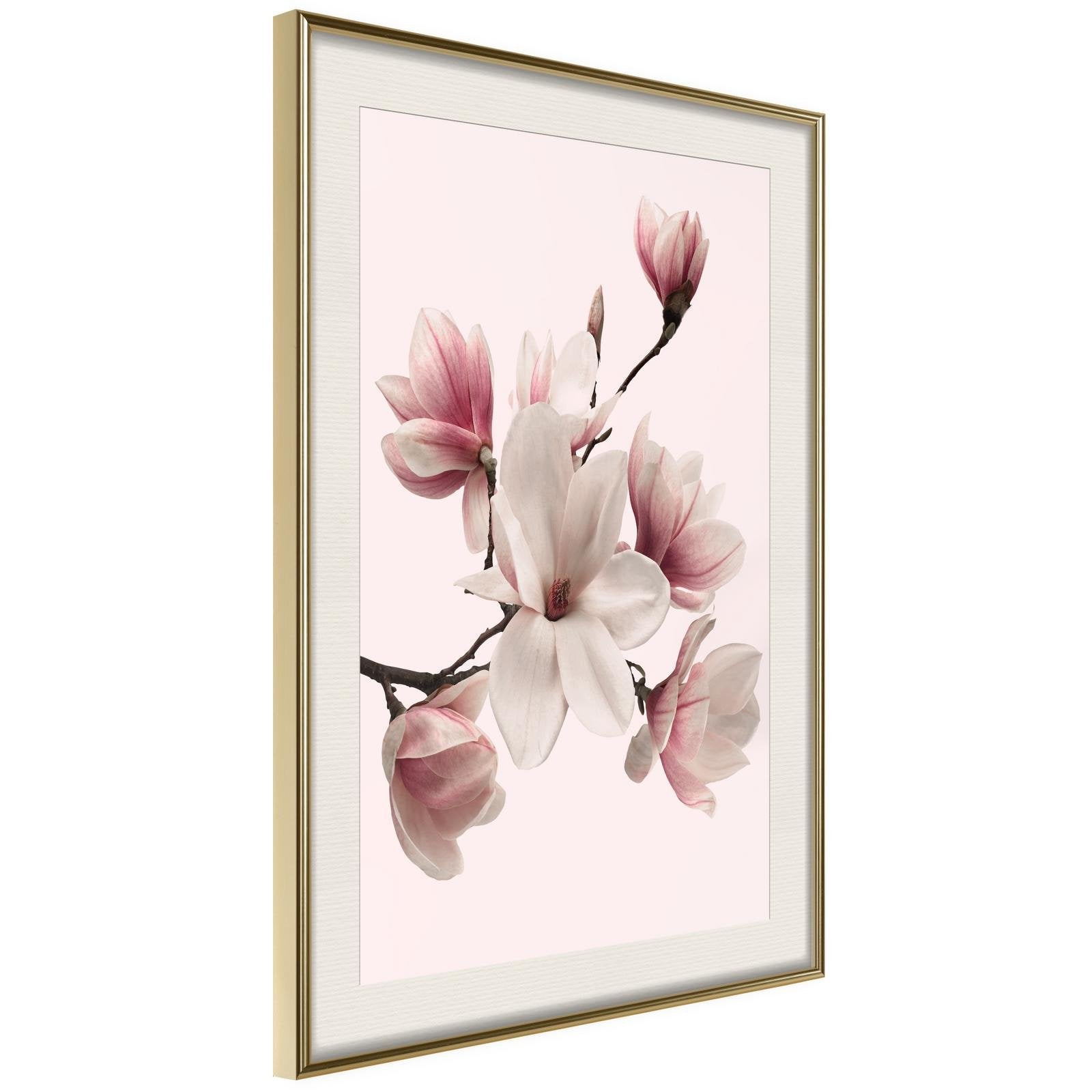 Inramad Poster / Tavla - Blooming Magnolias I-Poster Inramad-Artgeist-20x30-Guldram med passepartout-peaceofhome.se