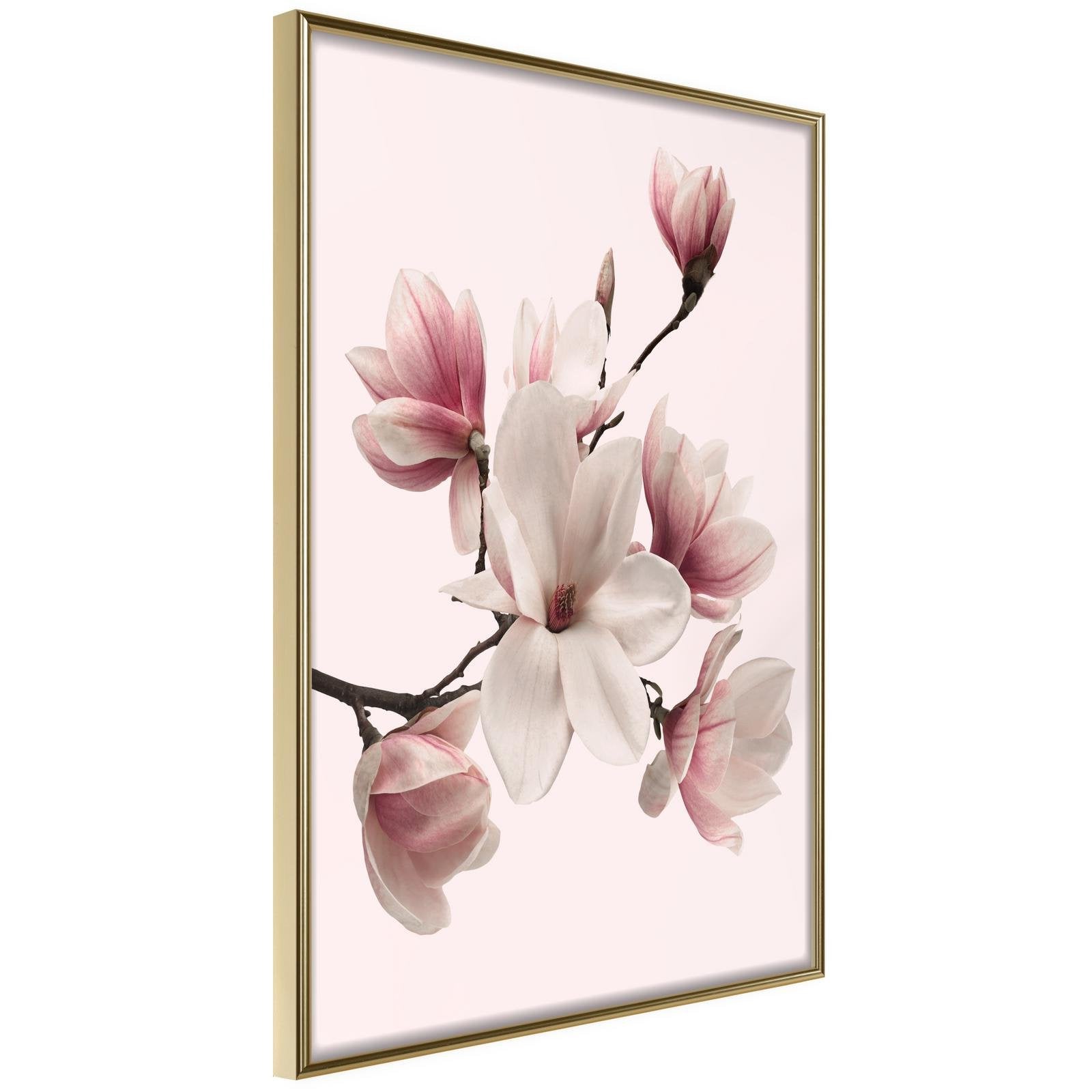 Inramad Poster / Tavla - Blooming Magnolias I-Poster Inramad-Artgeist-20x30-Guldram-peaceofhome.se
