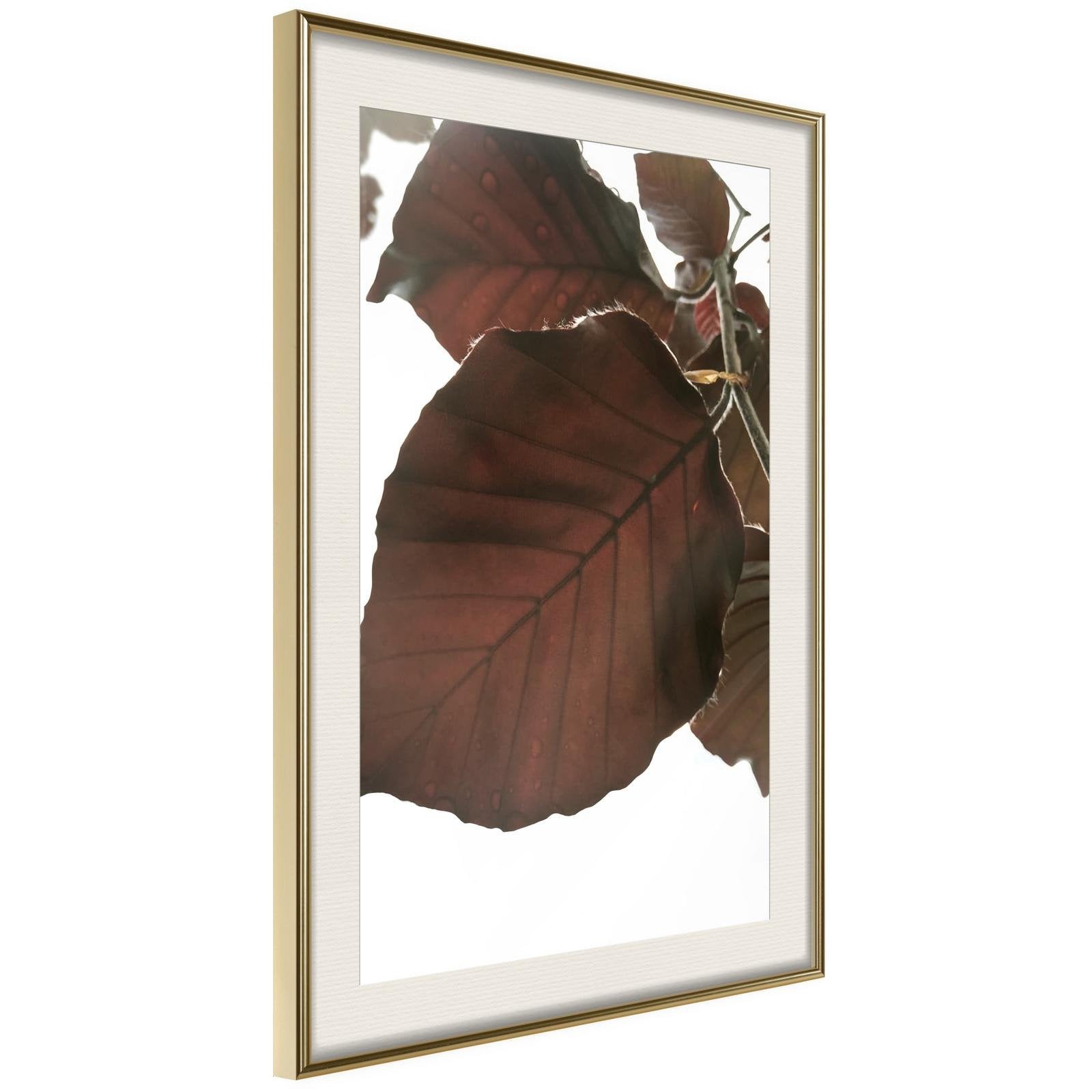 Inramad Poster / Tavla - Burgundy Tilia Leaf-Poster Inramad-Artgeist-20x30-Guldram med passepartout-peaceofhome.se