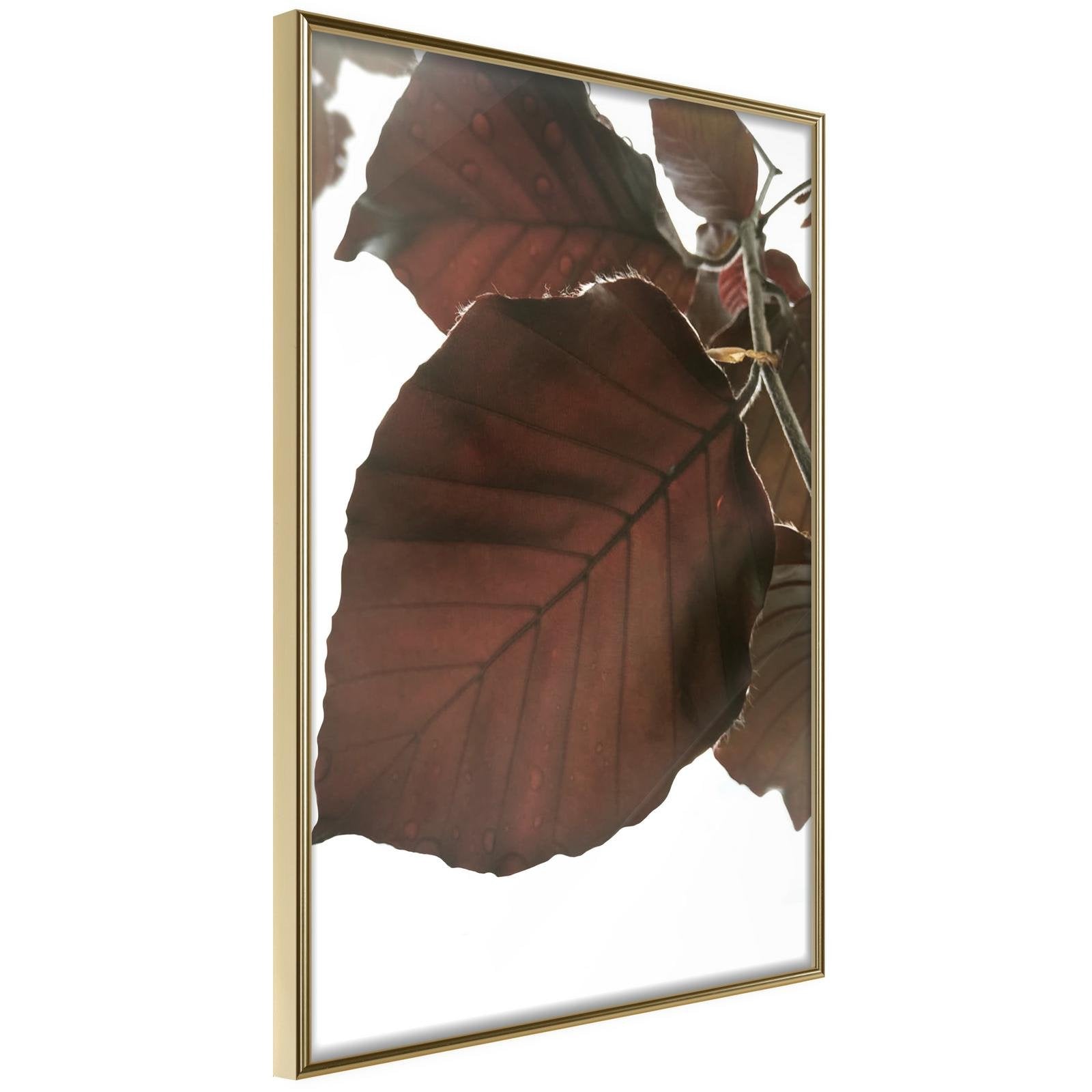 Inramad Poster / Tavla - Burgundy Tilia Leaf-Poster Inramad-Artgeist-20x30-Guldram-peaceofhome.se