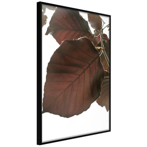 Inramad Poster / Tavla - Burgundy Tilia Leaf-Poster Inramad-Artgeist-20x30-Svart ram-peaceofhome.se
