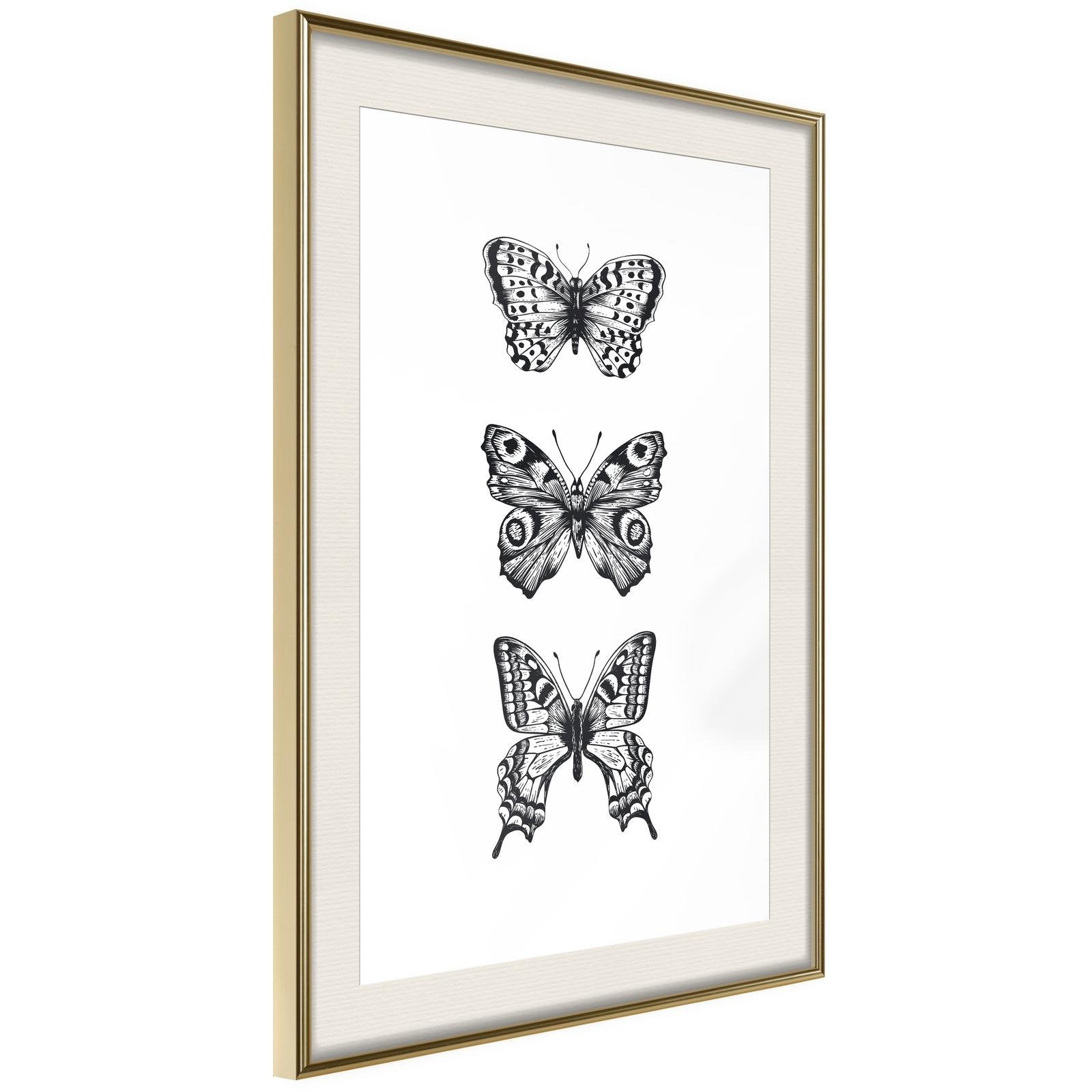 Inramad Poster / Tavla - Butterfly Collection III-Poster Inramad-Artgeist-20x30-Guldram med passepartout-peaceofhome.se