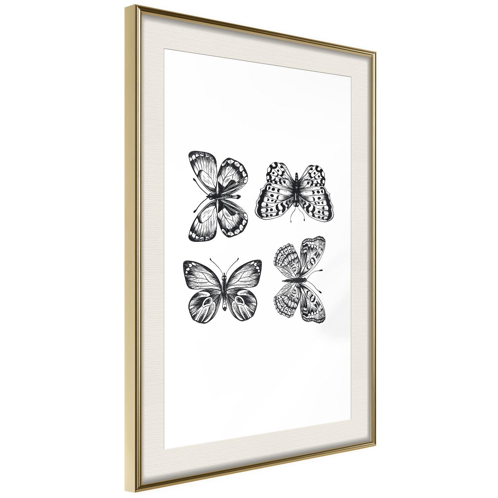 Inramad Poster / Tavla - Butterfly Collection III-Poster Inramad-Artgeist-20x30-Guldram med passepartout-peaceofhome.se