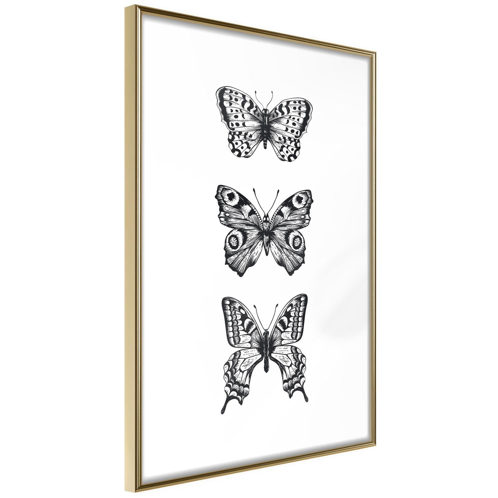 Inramad Poster / Tavla - Butterfly Collection III-Poster Inramad-Artgeist-20x30-Guldram-peaceofhome.se