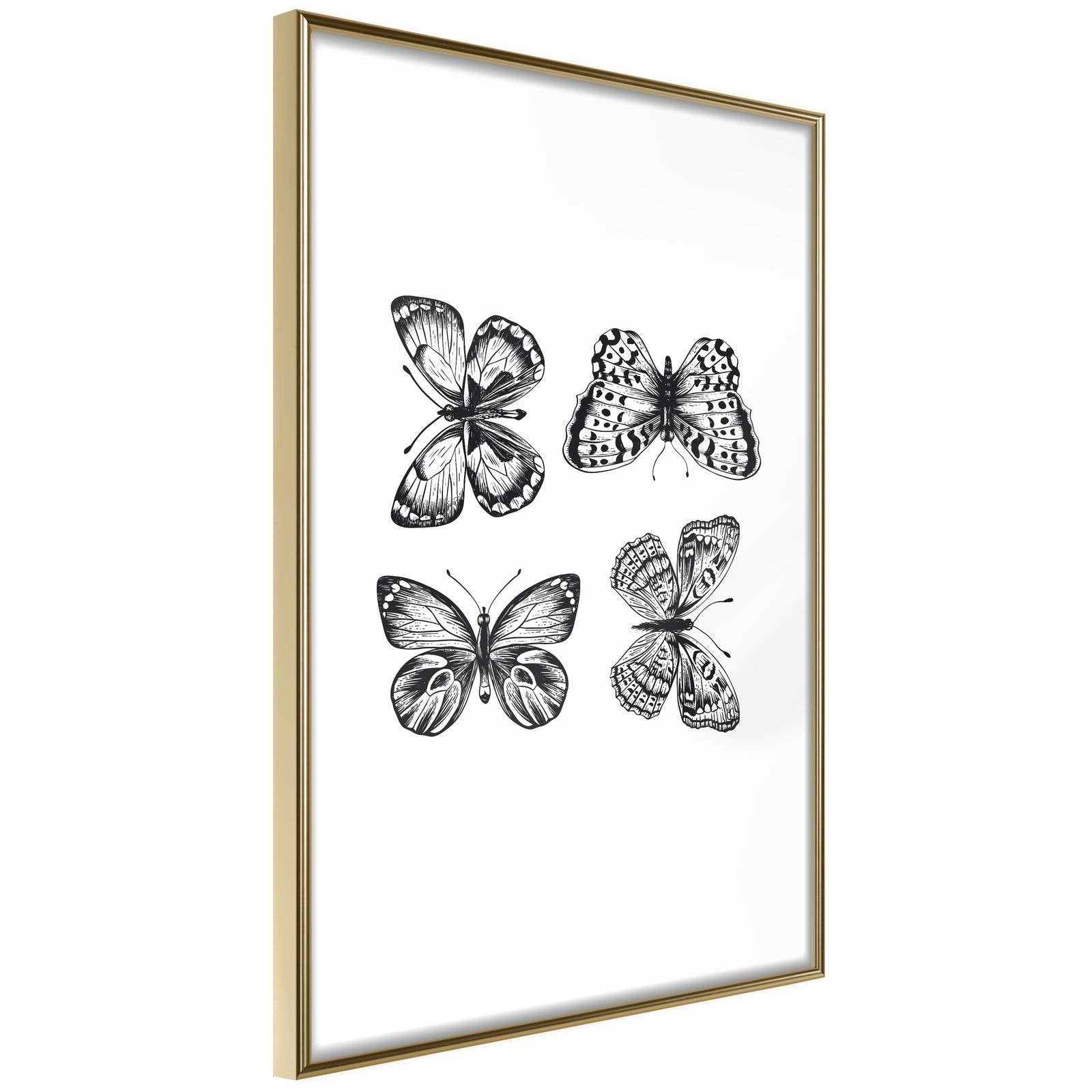 Inramad Poster / Tavla - Butterfly Collection III-Poster Inramad-Artgeist-20x30-Guldram-peaceofhome.se