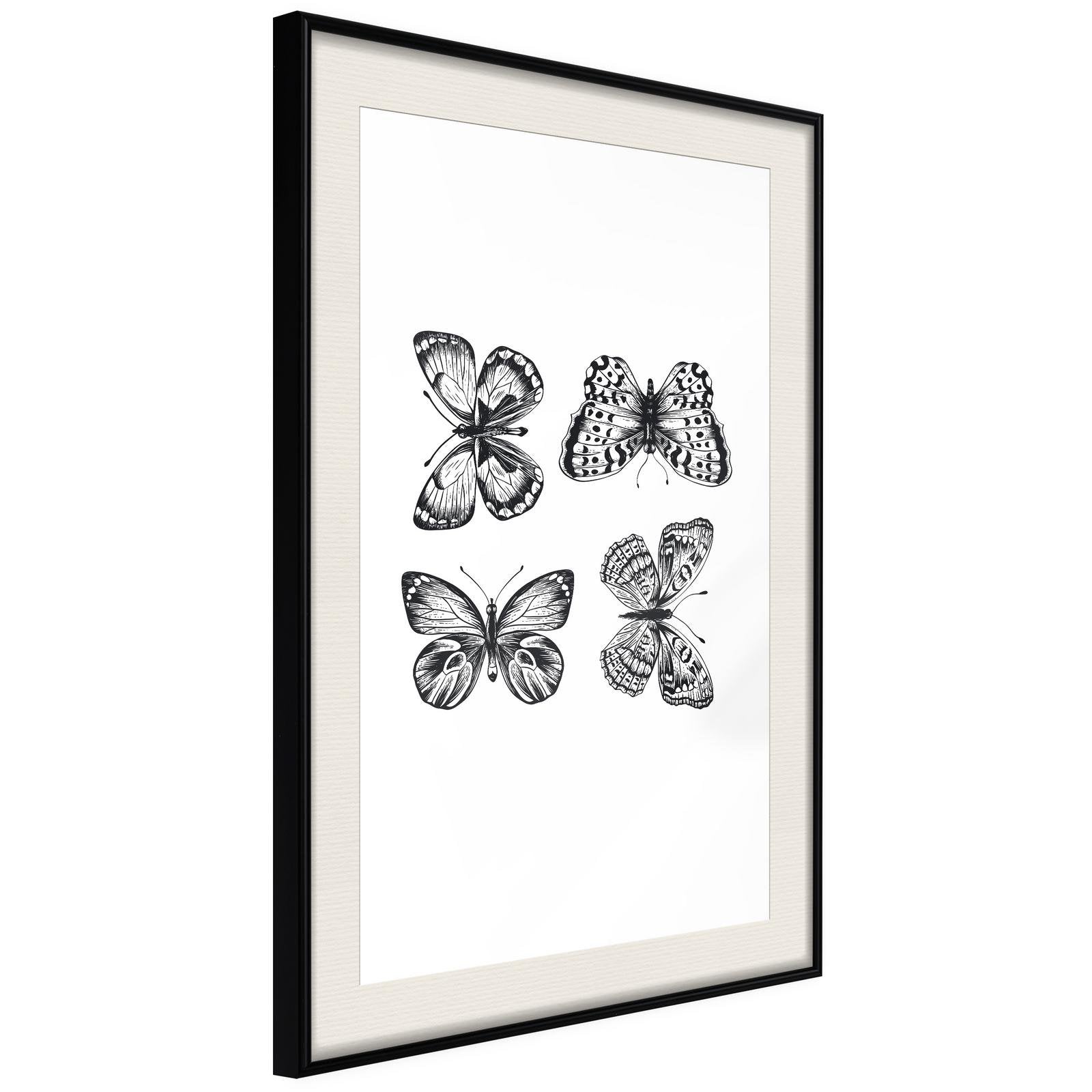 Inramad Poster / Tavla - Butterfly Collection III-Poster Inramad-Artgeist-20x30-Svart ram med passepartout-peaceofhome.se
