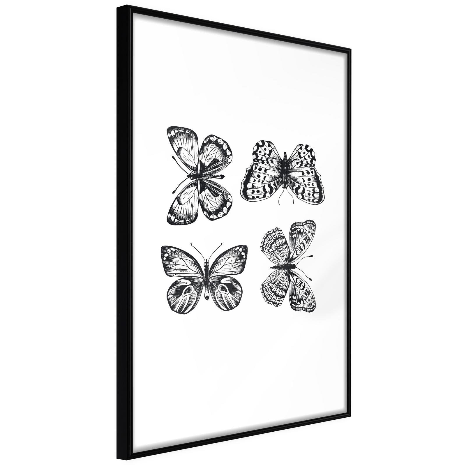 Inramad Poster / Tavla - Butterfly Collection III-Poster Inramad-Artgeist-20x30-Svart ram-peaceofhome.se
