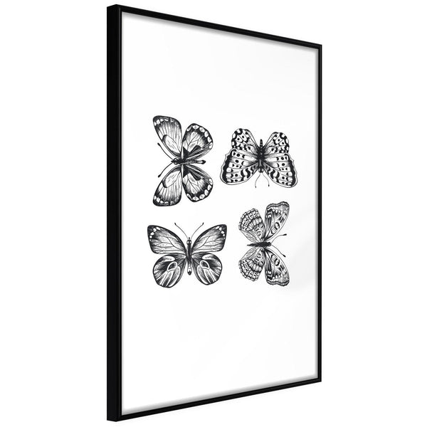 Inramad Poster / Tavla - Butterfly Collection III-Poster Inramad-Artgeist-20x30-Svart ram-peaceofhome.se