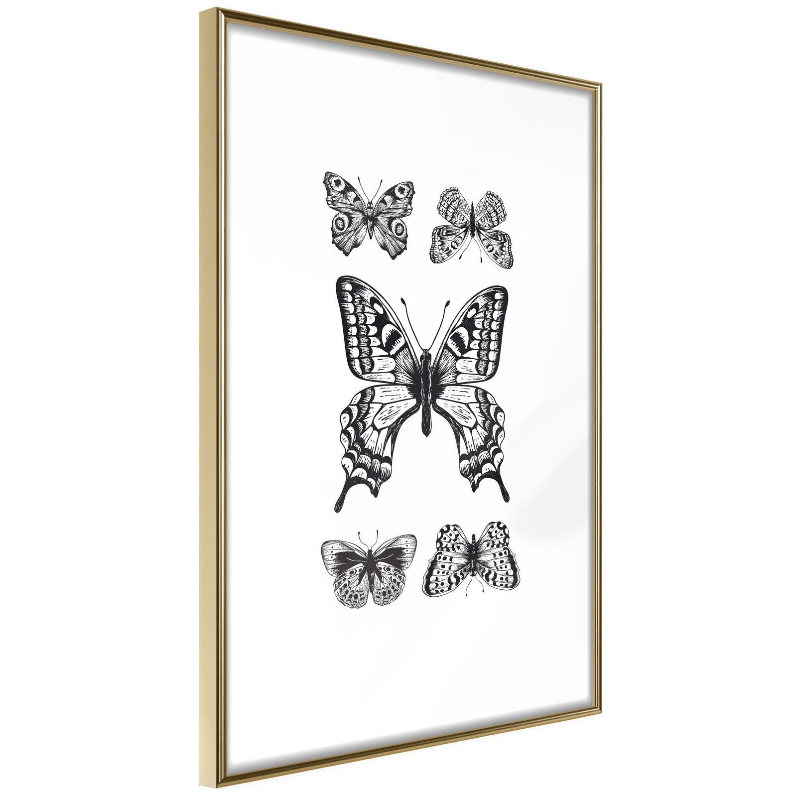 Inramad Poster / Tavla - Butterfly Collection IV-Poster Inramad-Artgeist-20x30-Guldram-peaceofhome.se