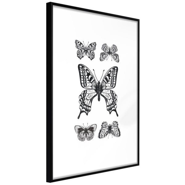 Inramad Poster / Tavla - Butterfly Collection IV-Poster Inramad-Artgeist-20x30-Svart ram-peaceofhome.se