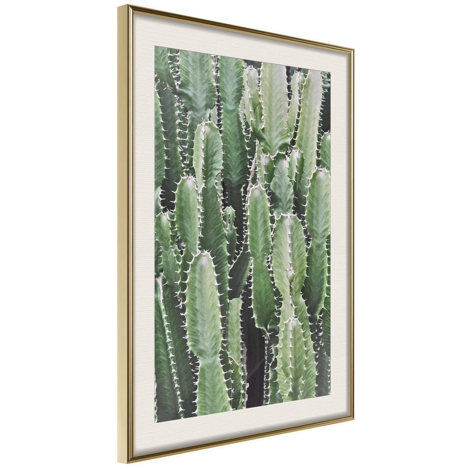Inramad Poster / Tavla - Cactus Plantation-Poster Inramad-Artgeist-20x30-Guldram med passepartout-peaceofhome.se