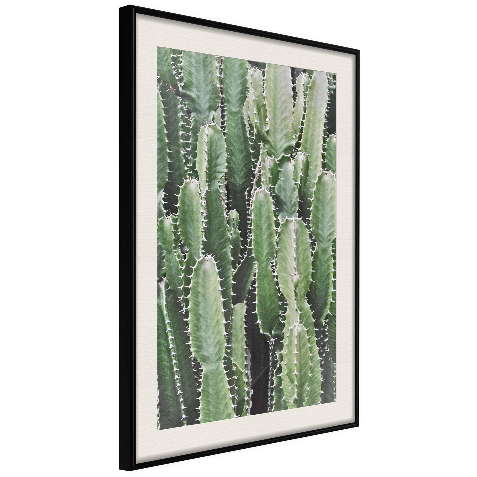 Inramad Poster / Tavla - Cactus Plantation-Poster Inramad-Artgeist-20x30-Svart ram med passepartout-peaceofhome.se