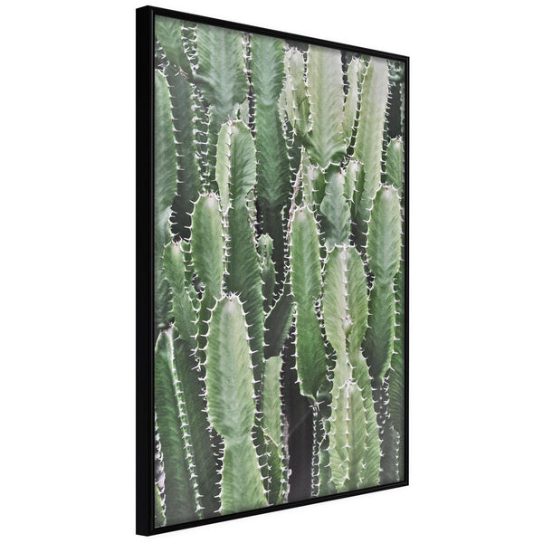 Inramad Poster / Tavla - Cactus Plantation-Poster Inramad-Artgeist-20x30-Svart ram-peaceofhome.se