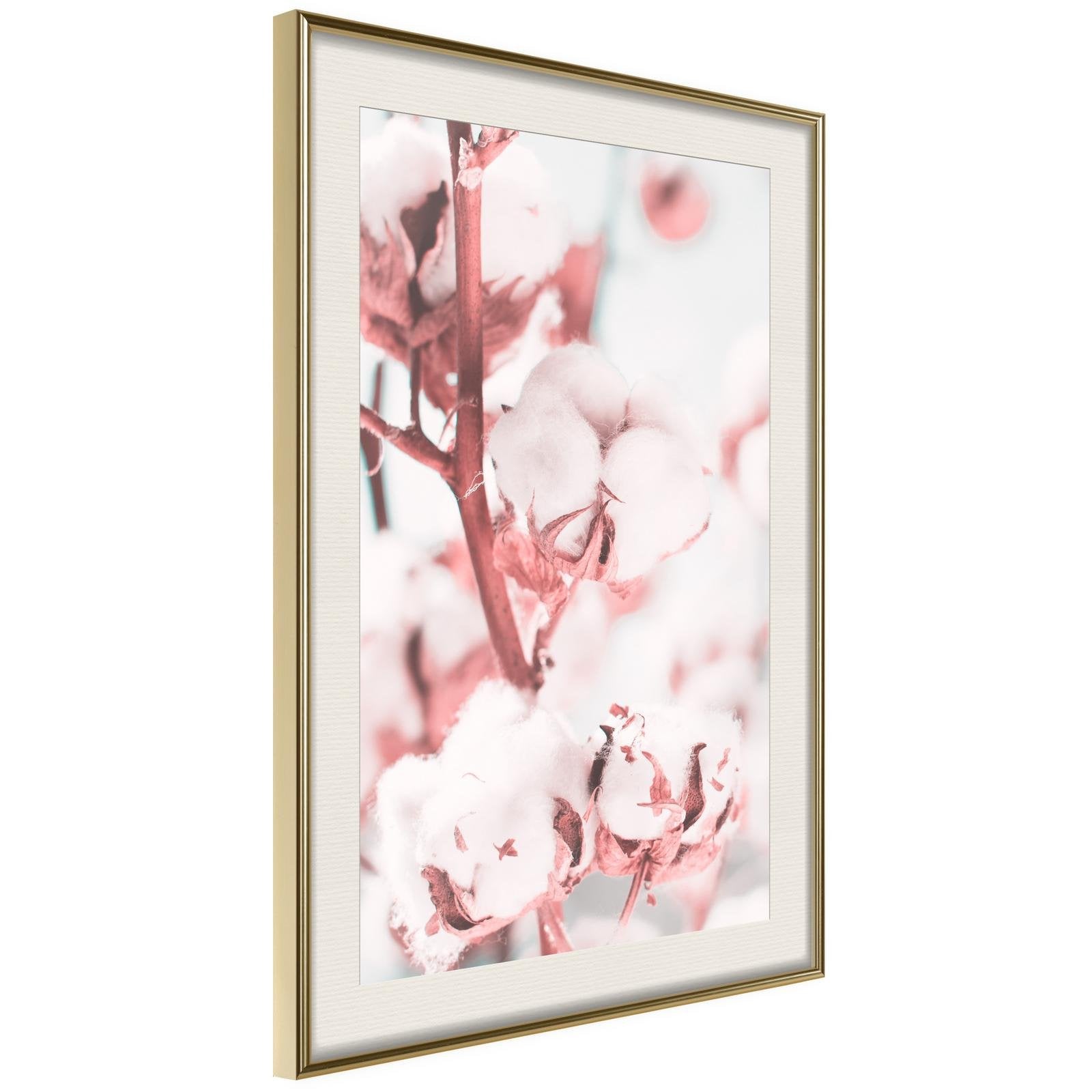 Inramad Poster / Tavla - Cotton Flowers-Poster Inramad-Artgeist-20x30-Guldram med passepartout-peaceofhome.se
