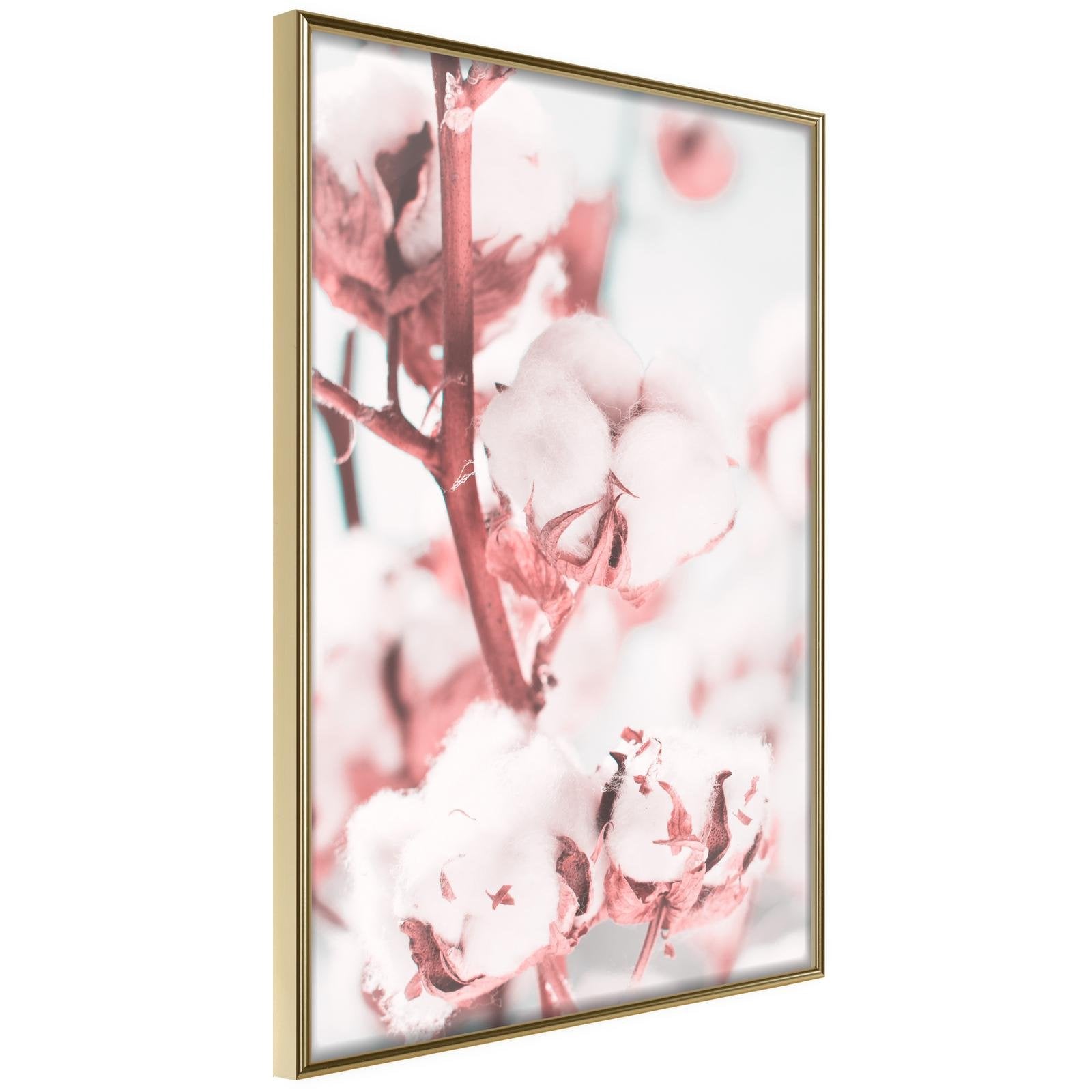 Inramad Poster / Tavla - Cotton Flowers-Poster Inramad-Artgeist-20x30-Guldram-peaceofhome.se