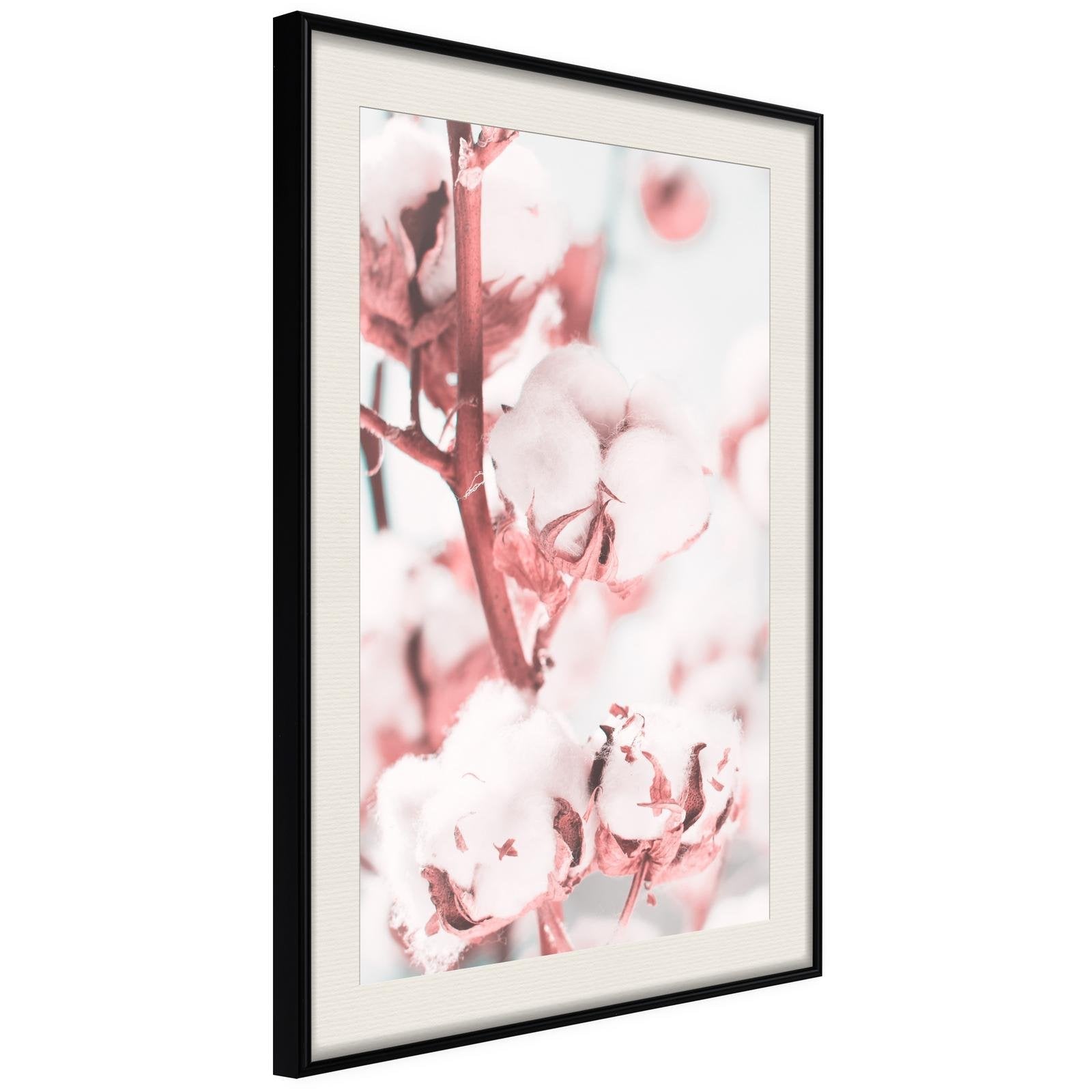 Inramad Poster / Tavla - Cotton Flowers-Poster Inramad-Artgeist-20x30-Svart ram med passepartout-peaceofhome.se