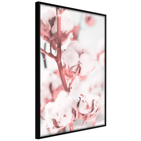 Inramad Poster / Tavla - Cotton Flowers-Poster Inramad-Artgeist-20x30-Svart ram-peaceofhome.se