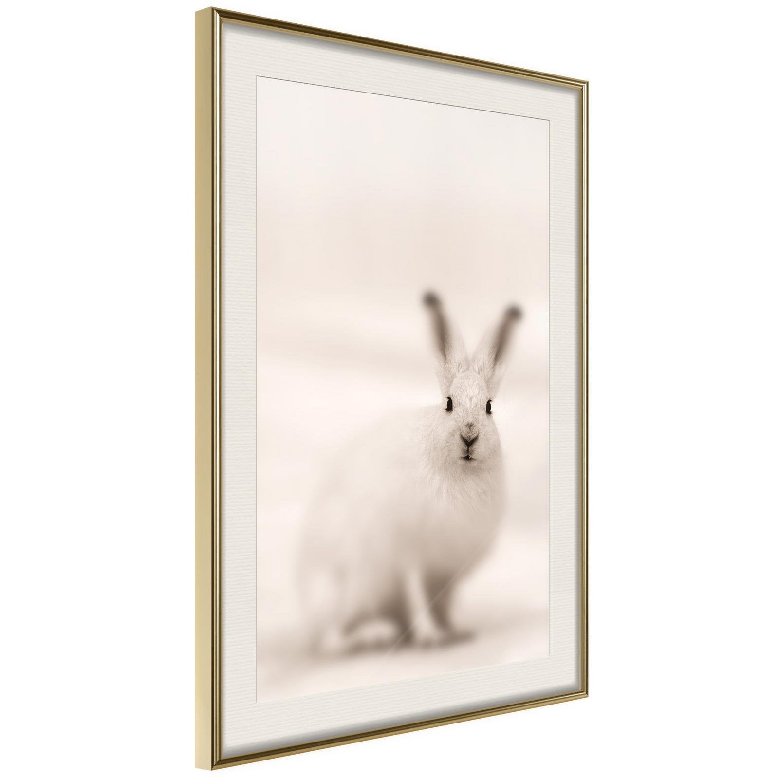 Inramad Poster / Tavla - Curious Rabbit-Poster Inramad-Artgeist-20x30-Guldram med passepartout-peaceofhome.se