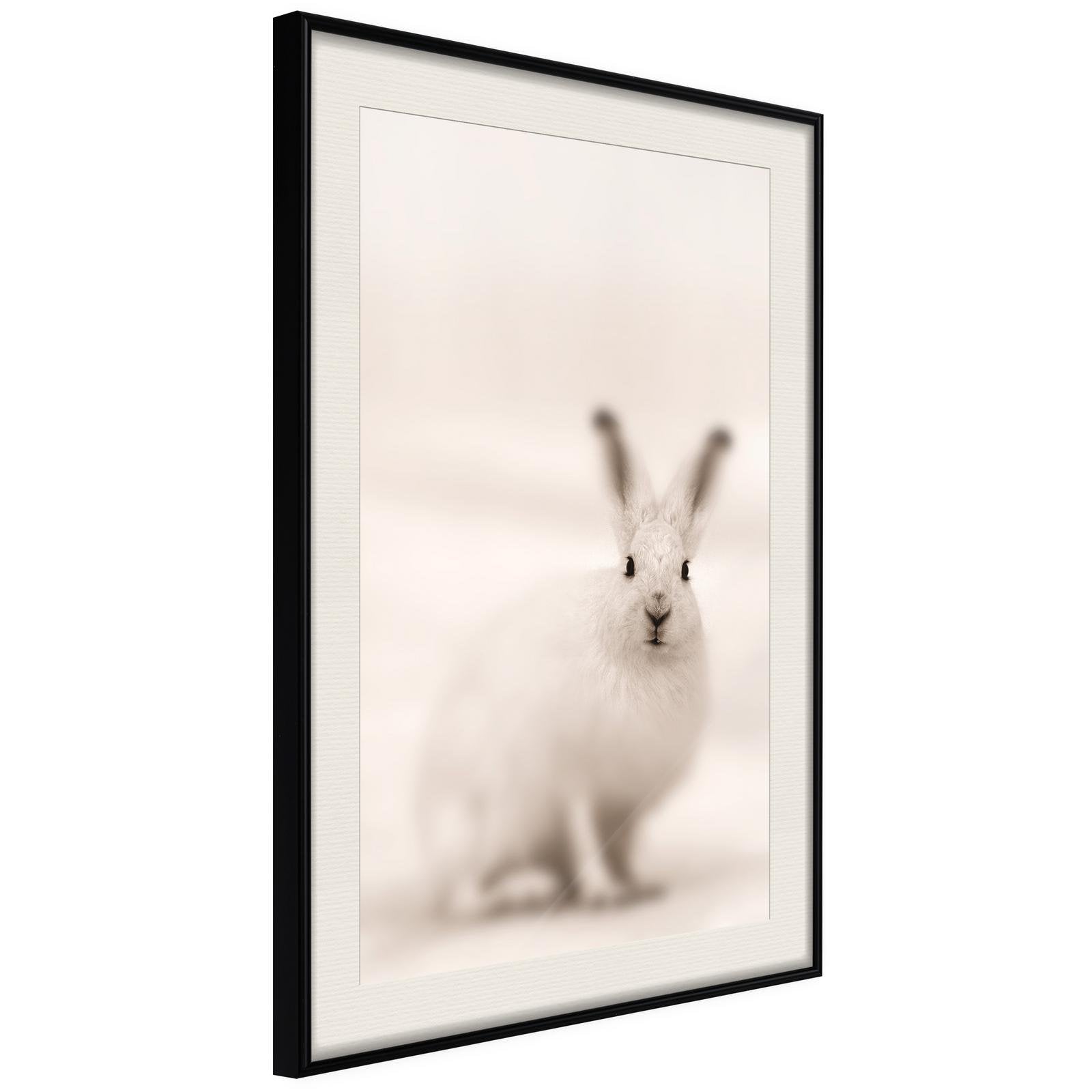 Inramad Poster / Tavla - Curious Rabbit-Poster Inramad-Artgeist-20x30-Svart ram med passepartout-peaceofhome.se