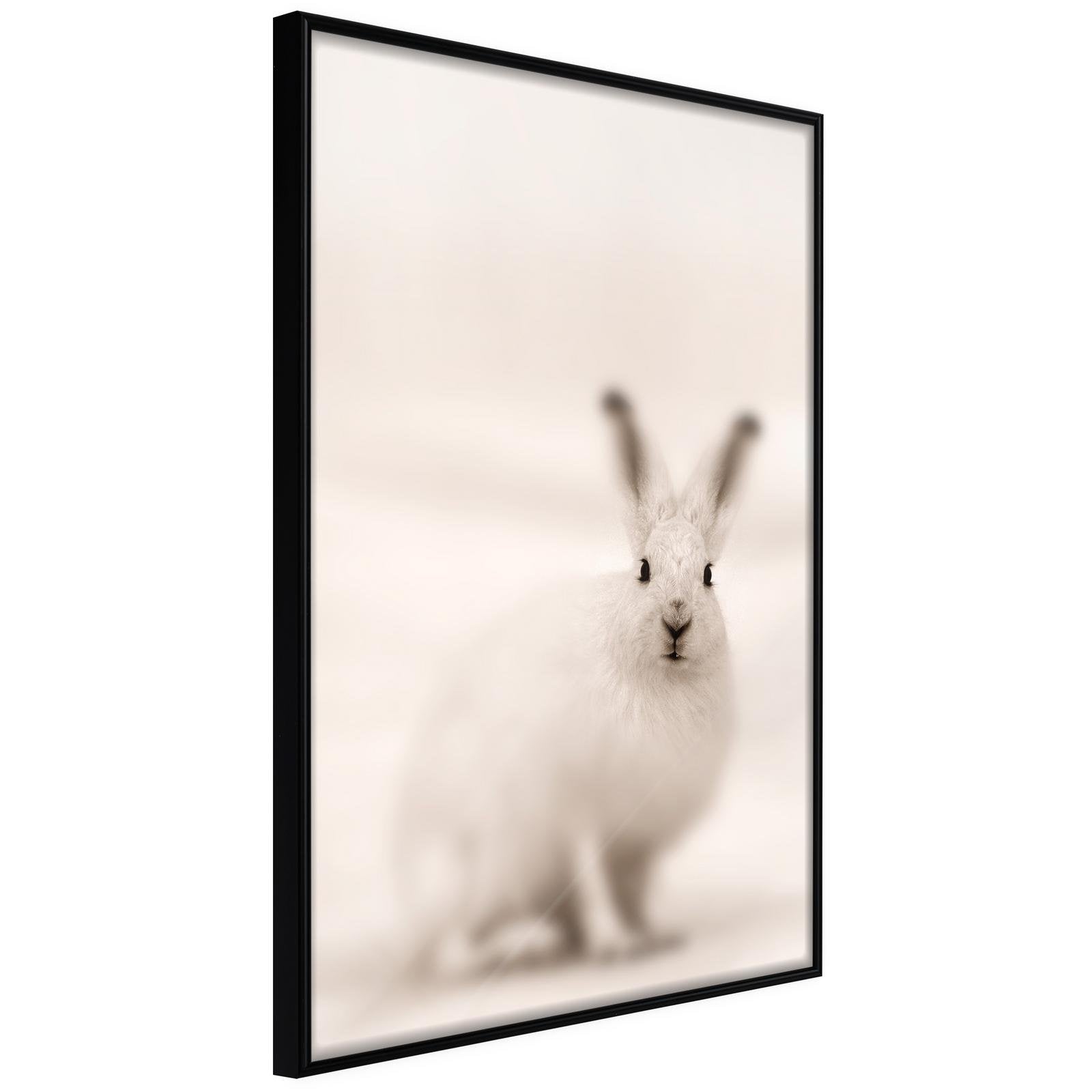 Inramad Poster / Tavla - Curious Rabbit-Poster Inramad-Artgeist-20x30-Svart ram-peaceofhome.se