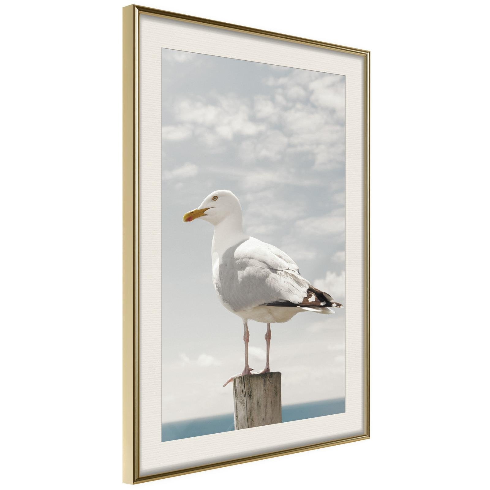 Inramad Poster / Tavla - Curious Seagull-Poster Inramad-Artgeist-20x30-Guldram med passepartout-peaceofhome.se