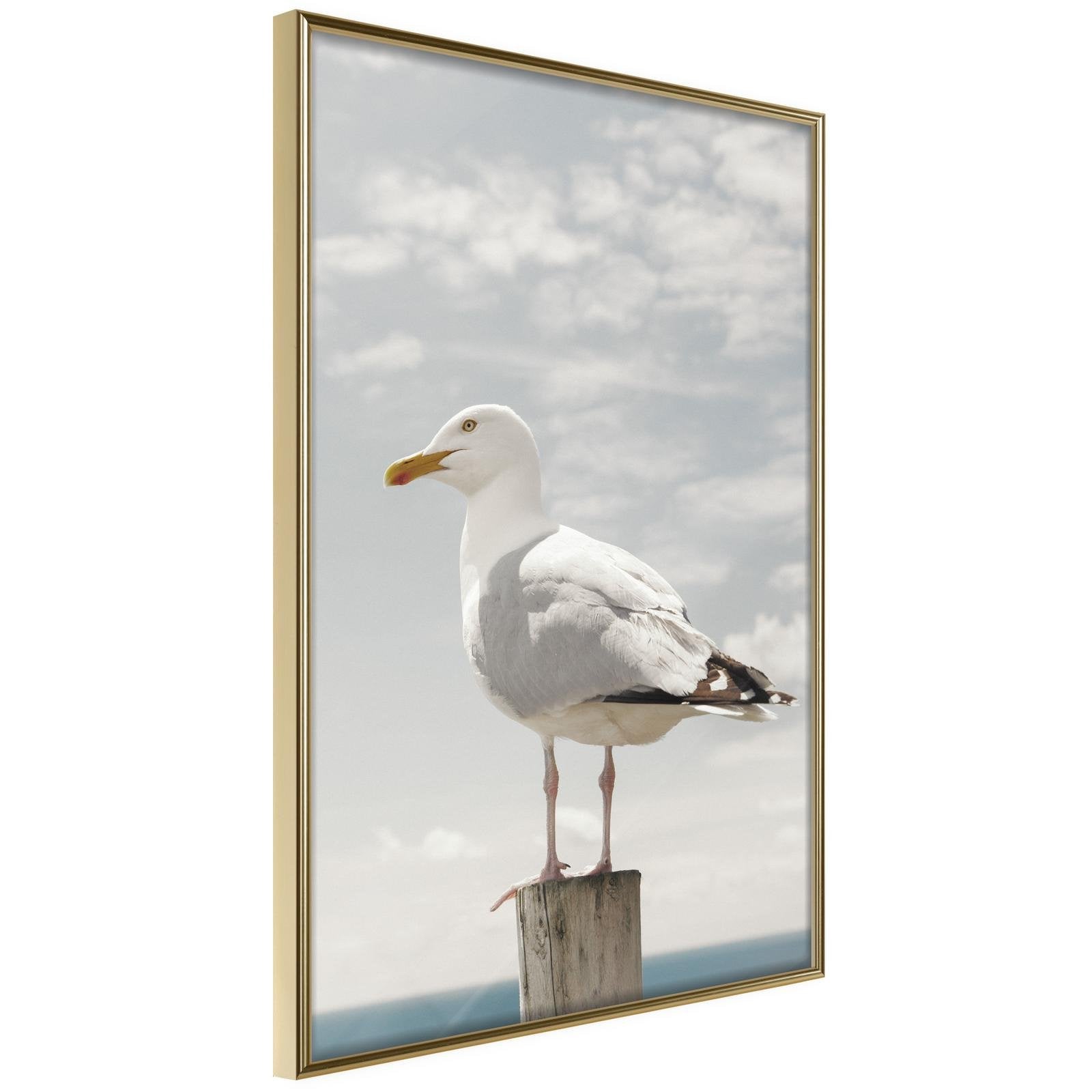 Inramad Poster / Tavla - Curious Seagull-Poster Inramad-Artgeist-20x30-Guldram-peaceofhome.se