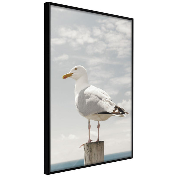 Inramad Poster / Tavla - Curious Seagull-Poster Inramad-Artgeist-20x30-Svart ram-peaceofhome.se