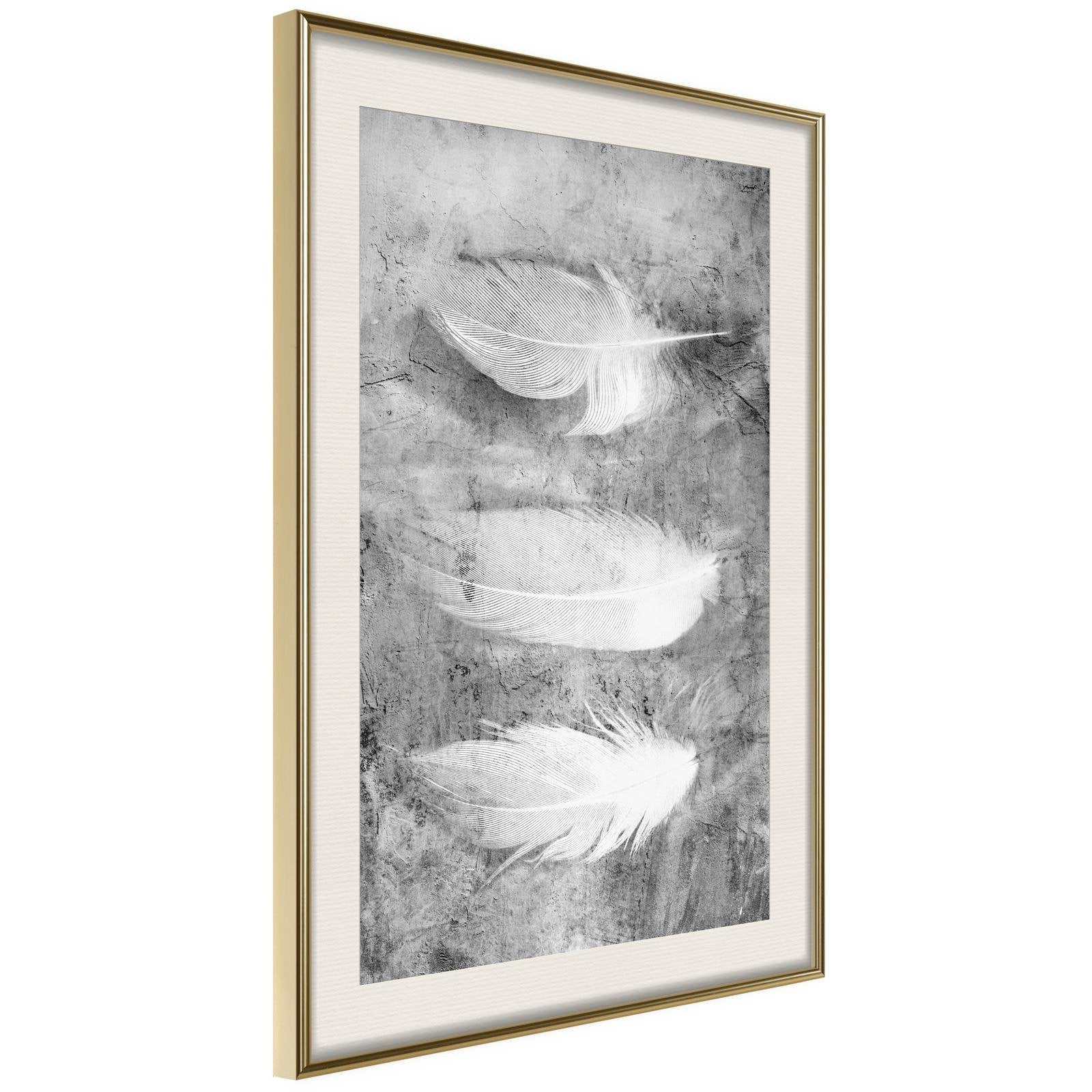 Inramad Poster / Tavla - Delicate Feathers-Poster Inramad-Artgeist-20x30-Guldram med passepartout-peaceofhome.se