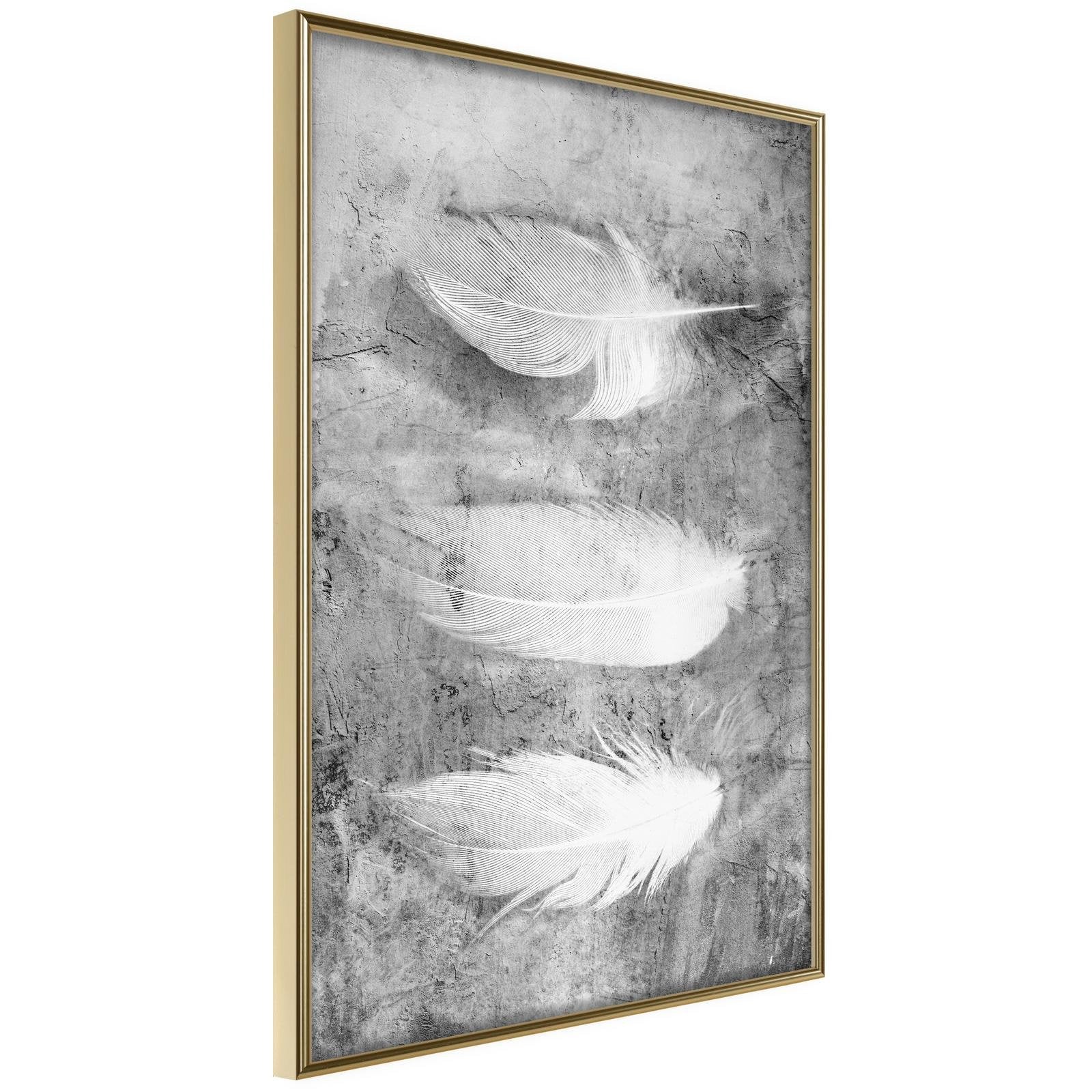 Inramad Poster / Tavla - Delicate Feathers-Poster Inramad-Artgeist-20x30-Guldram-peaceofhome.se