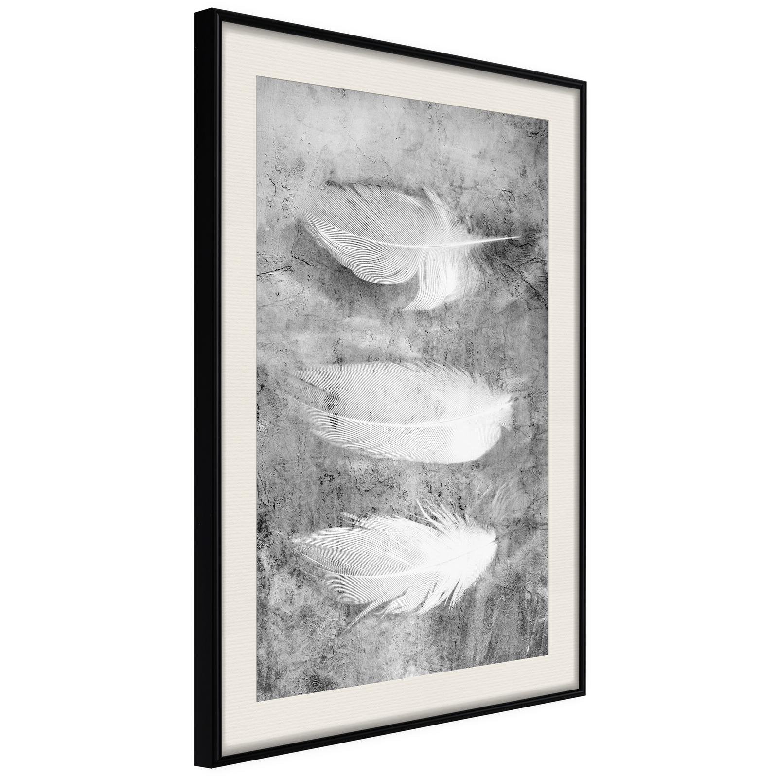 Inramad Poster / Tavla - Delicate Feathers-Poster Inramad-Artgeist-20x30-Svart ram med passepartout-peaceofhome.se