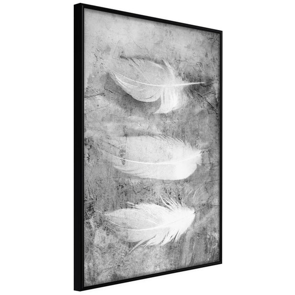 Inramad Poster / Tavla - Delicate Feathers-Poster Inramad-Artgeist-20x30-Svart ram-peaceofhome.se