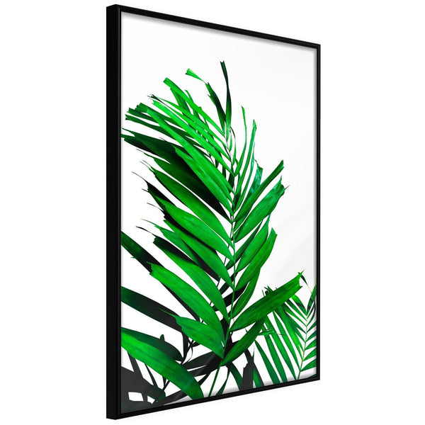 Inramad Poster / Tavla - Emerald Palm-Poster Inramad-Artgeist-20x30-Svart ram-peaceofhome.se