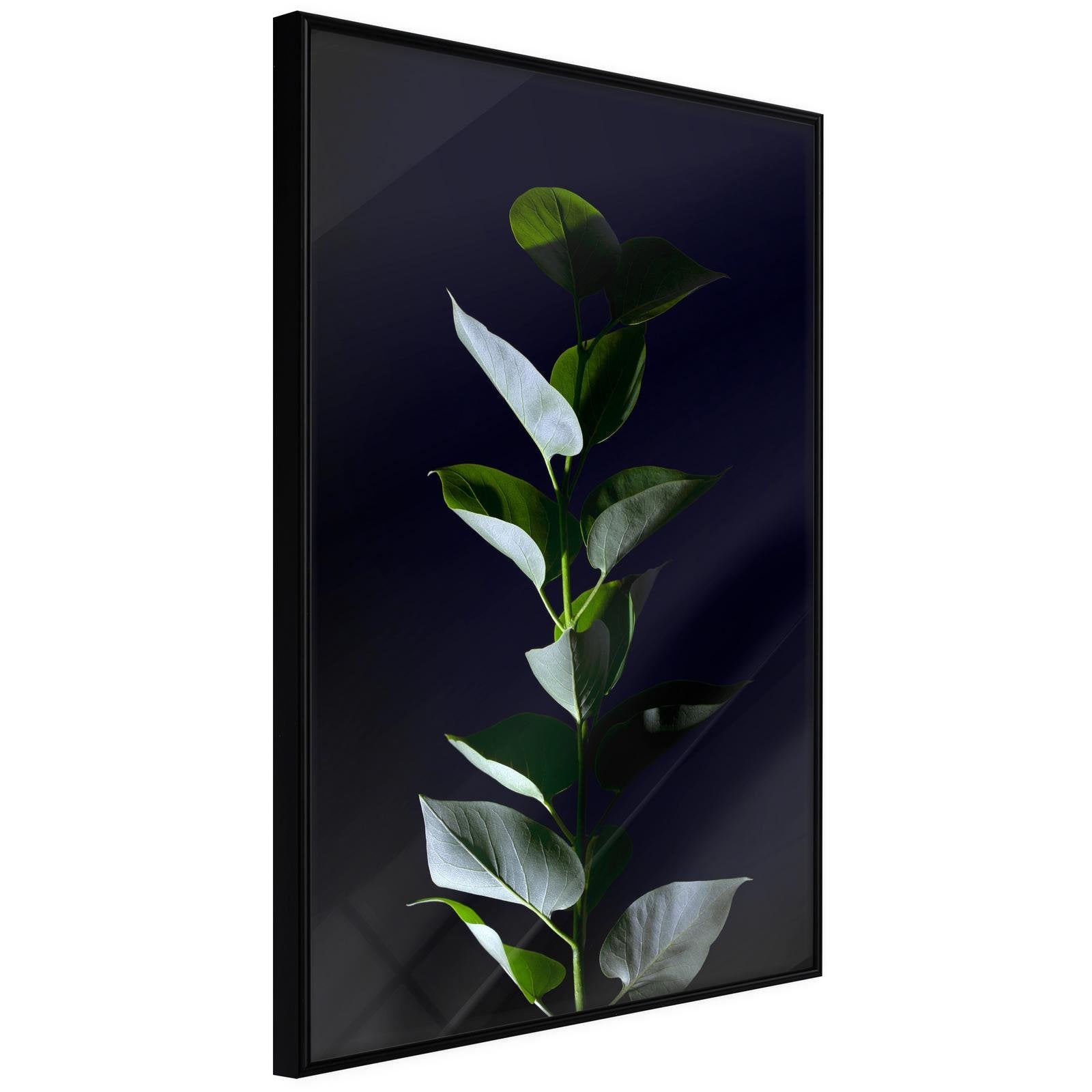 Inramad Poster / Tavla - Floral Elegance-Poster Inramad-Artgeist-20x30-Svart ram-peaceofhome.se