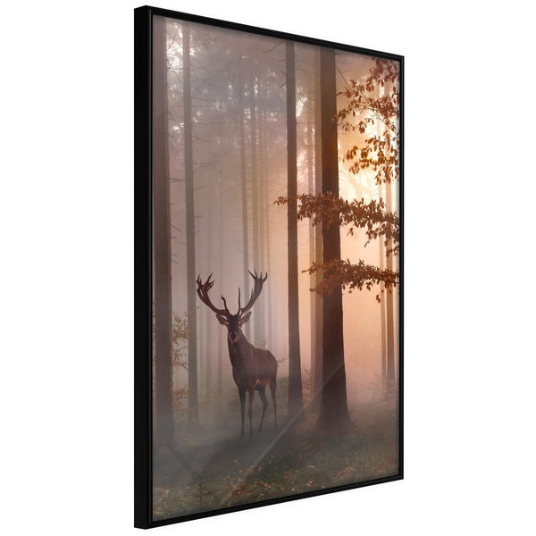 Inramad Poster / Tavla - Forest Seclusion-Poster Inramad-Artgeist-20x30-Svart ram-peaceofhome.se