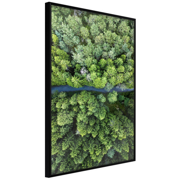 Inramad Poster / Tavla - Forest from a Bird's Eye View-Poster Inramad-Artgeist-20x30-Svart ram-peaceofhome.se