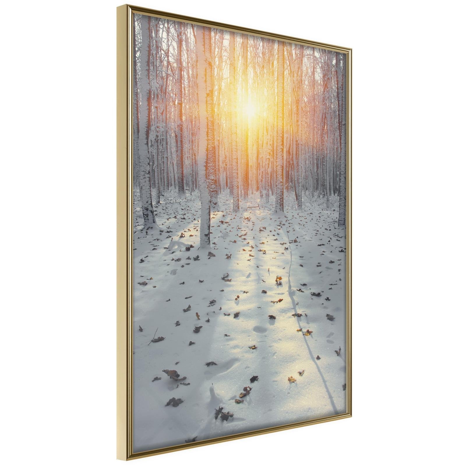 Inramad Poster / Tavla - Frosty Sunset-Poster Inramad-Artgeist-20x30-Guldram-peaceofhome.se