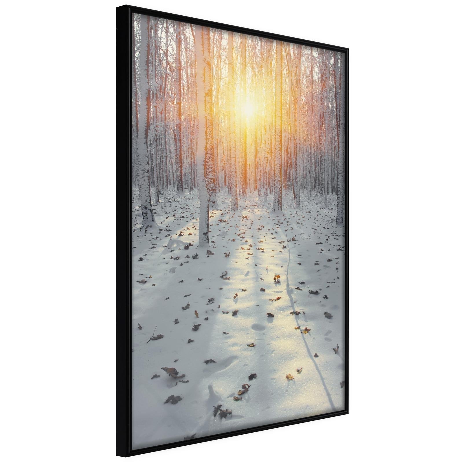 Inramad Poster / Tavla - Frosty Sunset-Poster Inramad-Artgeist-20x30-Svart ram-peaceofhome.se