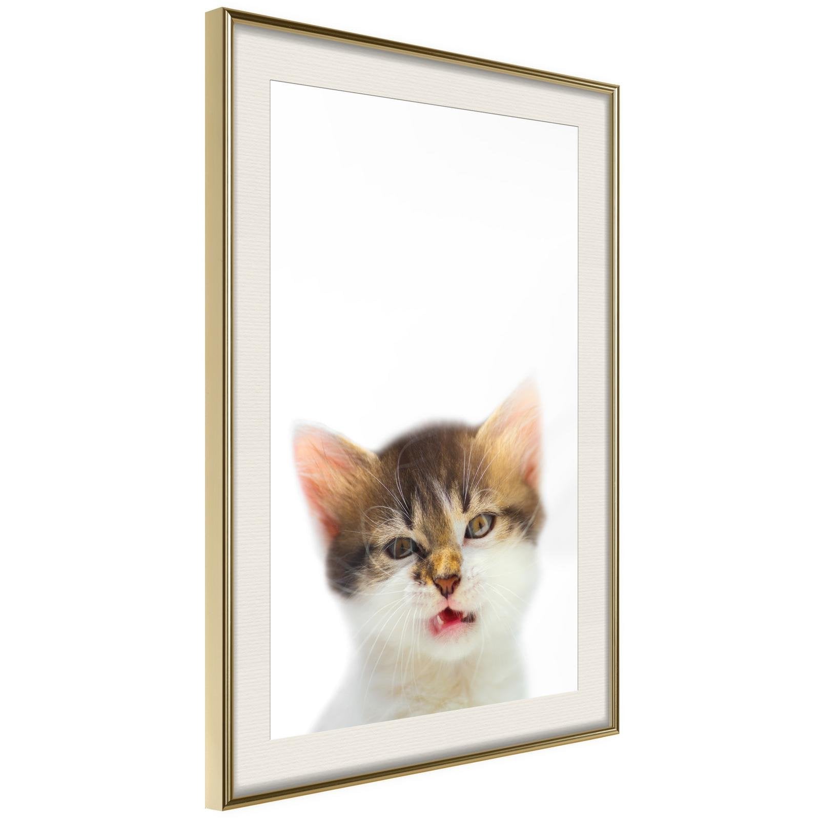 Inramad Poster / Tavla - Funny Kitten-Poster Inramad-Artgeist-20x30-Guldram med passepartout-peaceofhome.se